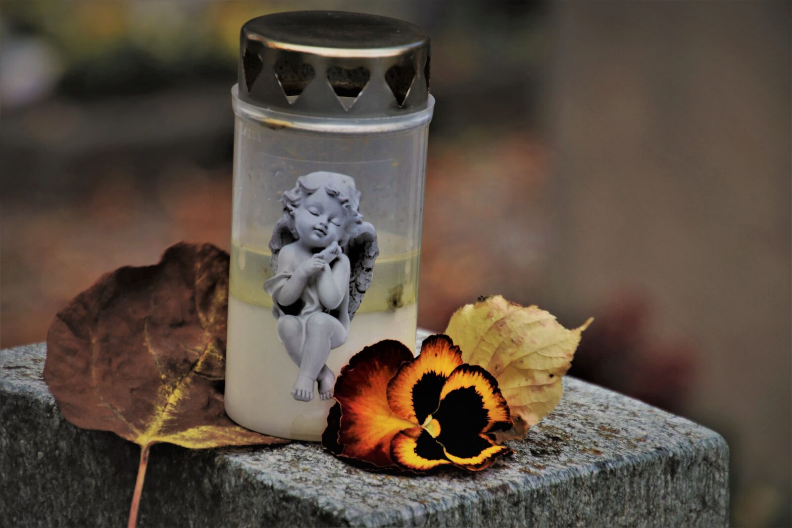 Canon EOS 80D sample photo. Cemetery, memory, the tomb photography
