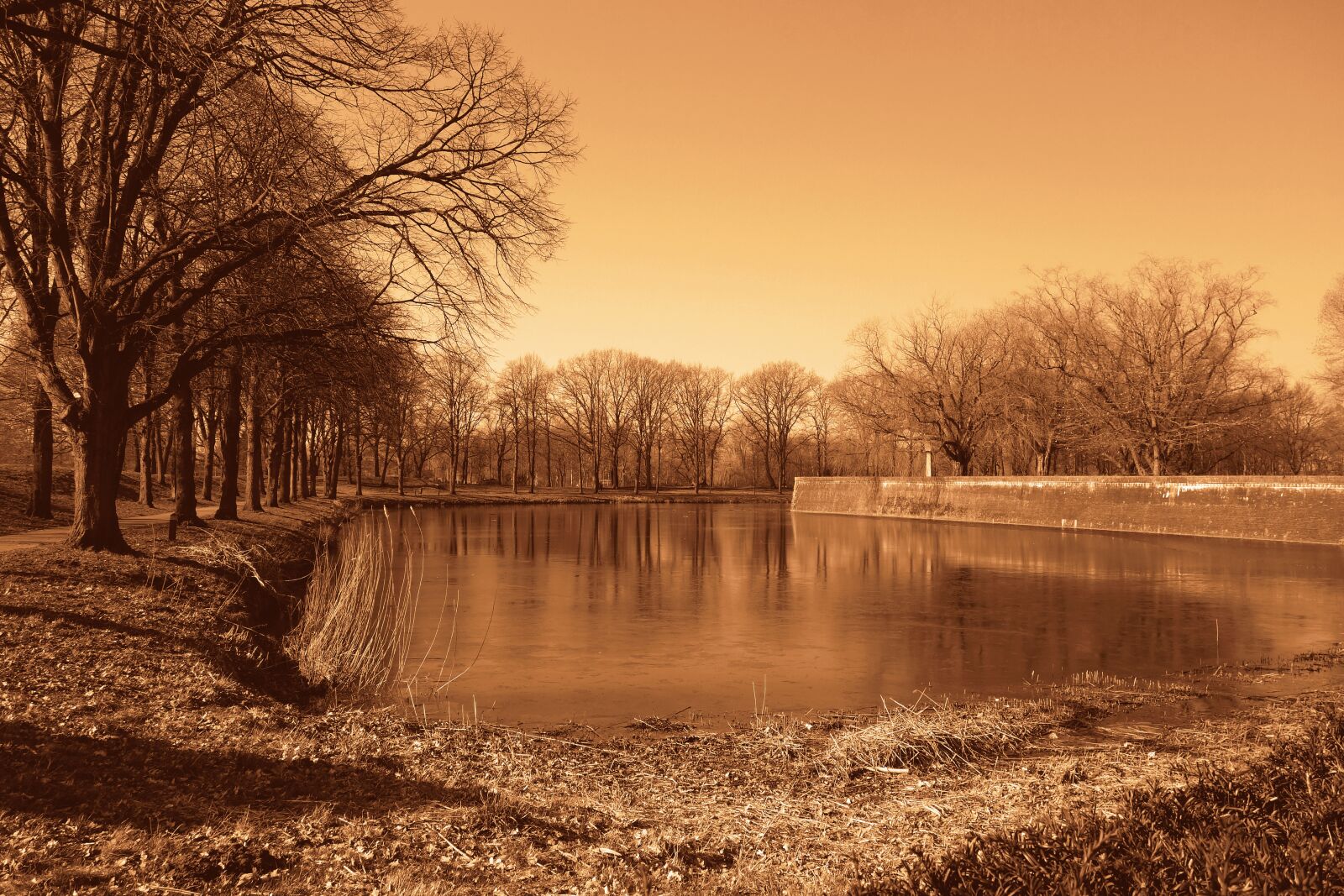 Sony Cyber-shot DSC-RX100 sample photo. Water, moat, shore photography
