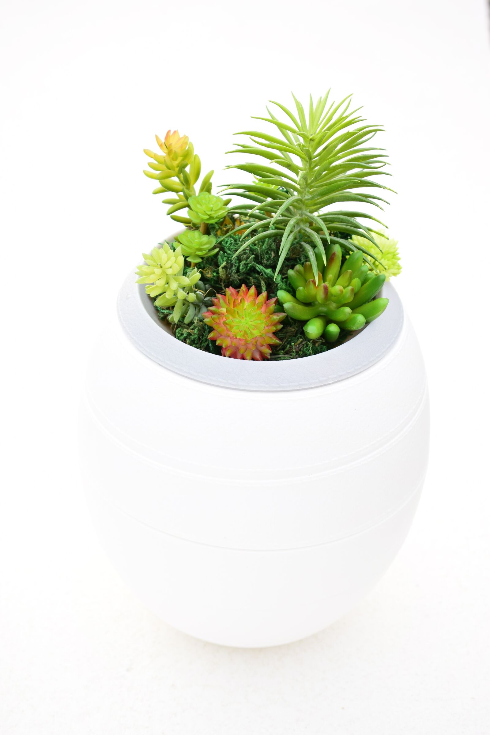 Nikon D3300 sample photo. Plants, urns funeral home photography
