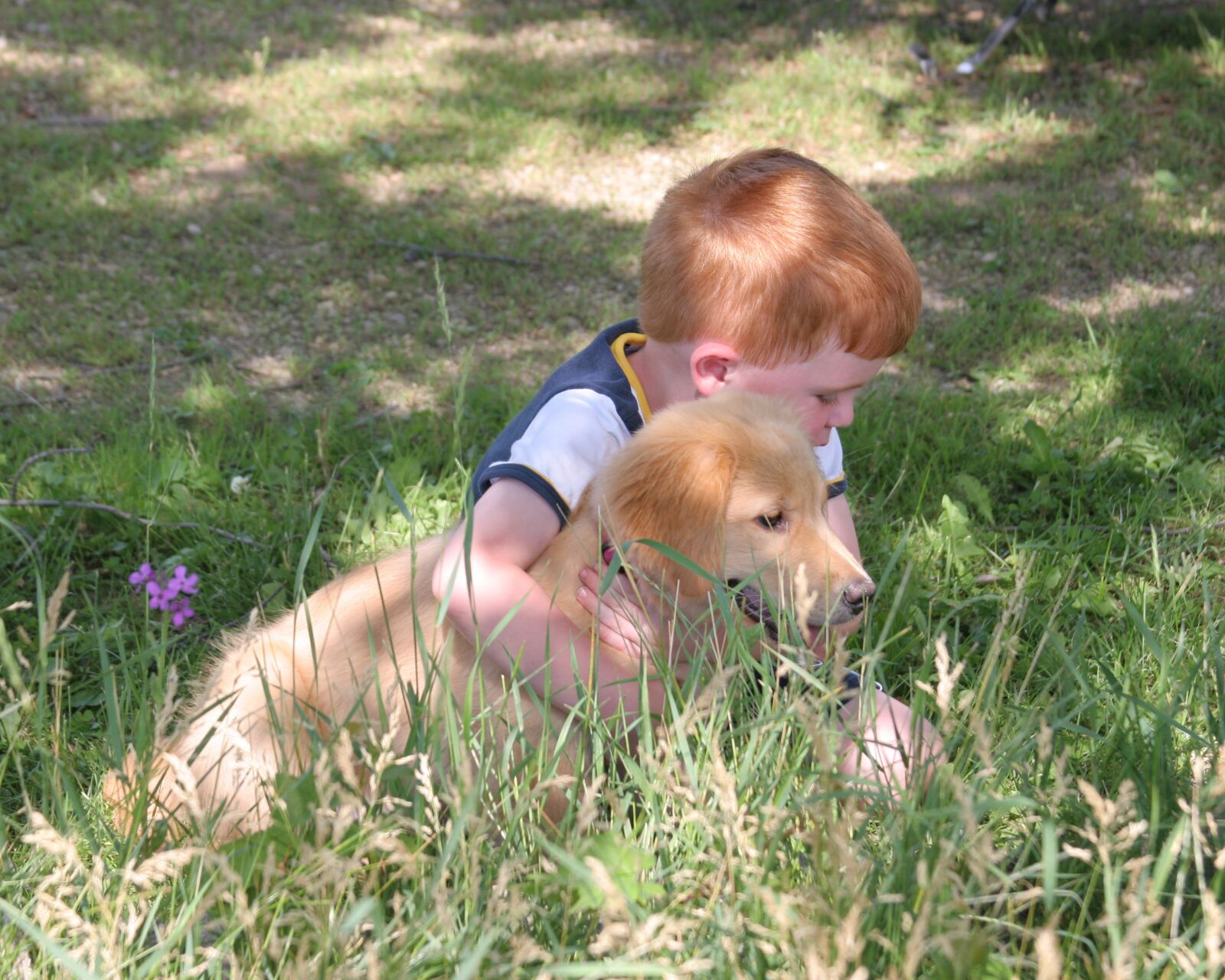 Canon EOS 20D sample photo. Puppy, boy, cute photography