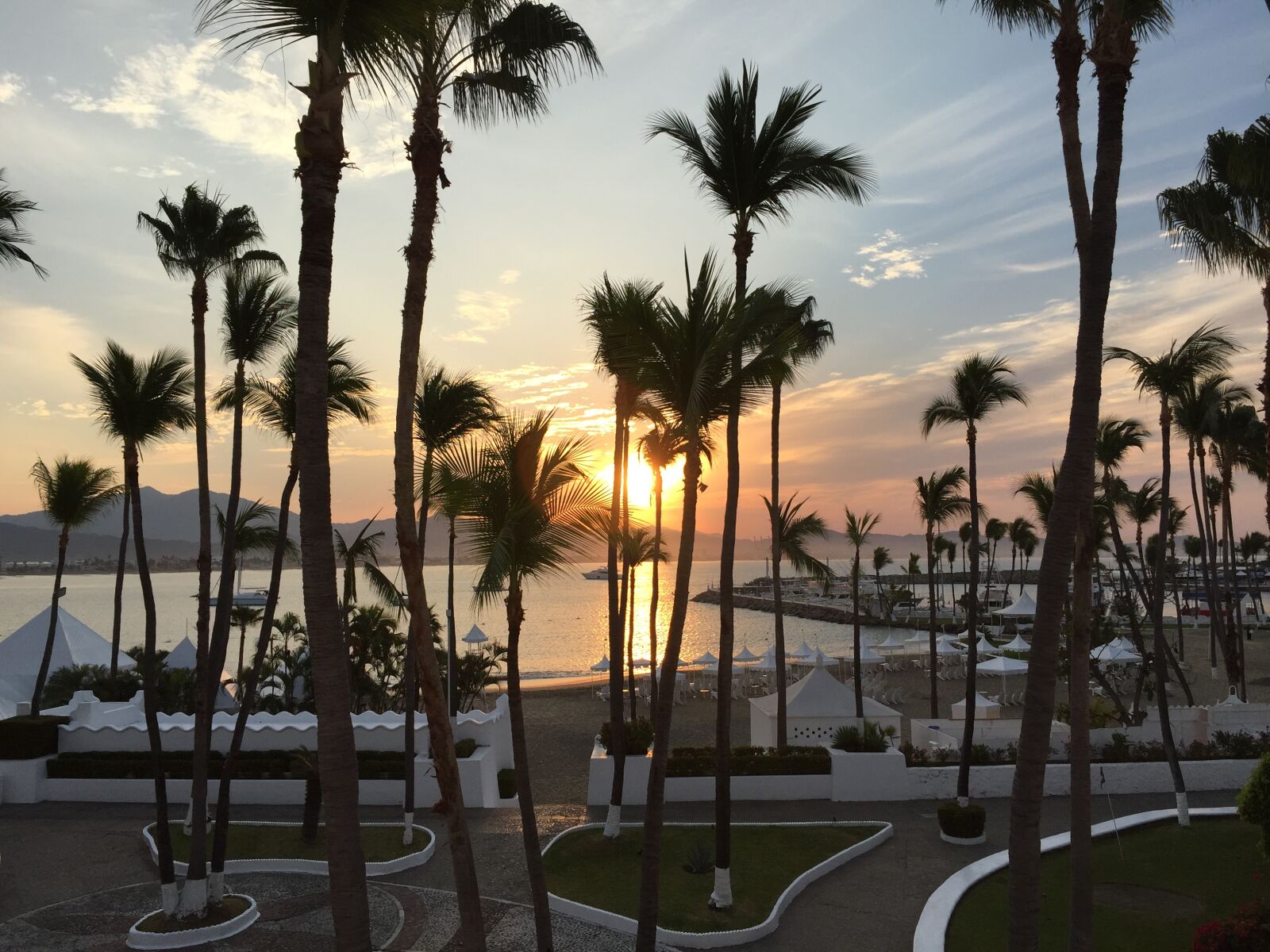 Apple iPhone 6 sample photo. Palm, trees, resort, sunrise photography
