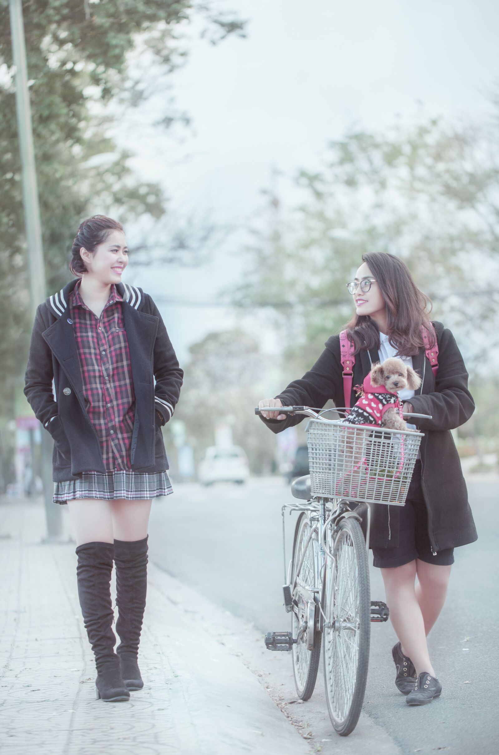 Canon EOS 5D Mark II sample photo. Dalat, romantic, friend photography
