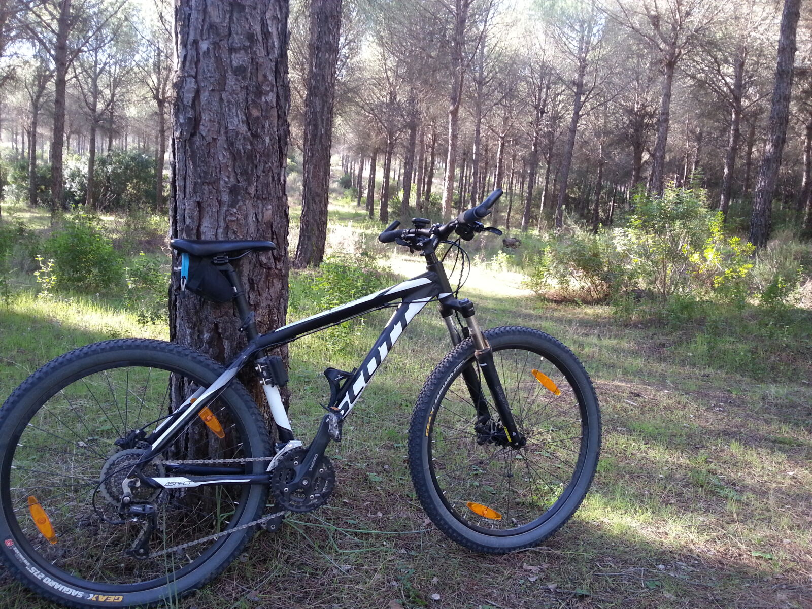 Samsung Galaxy Note2 sample photo