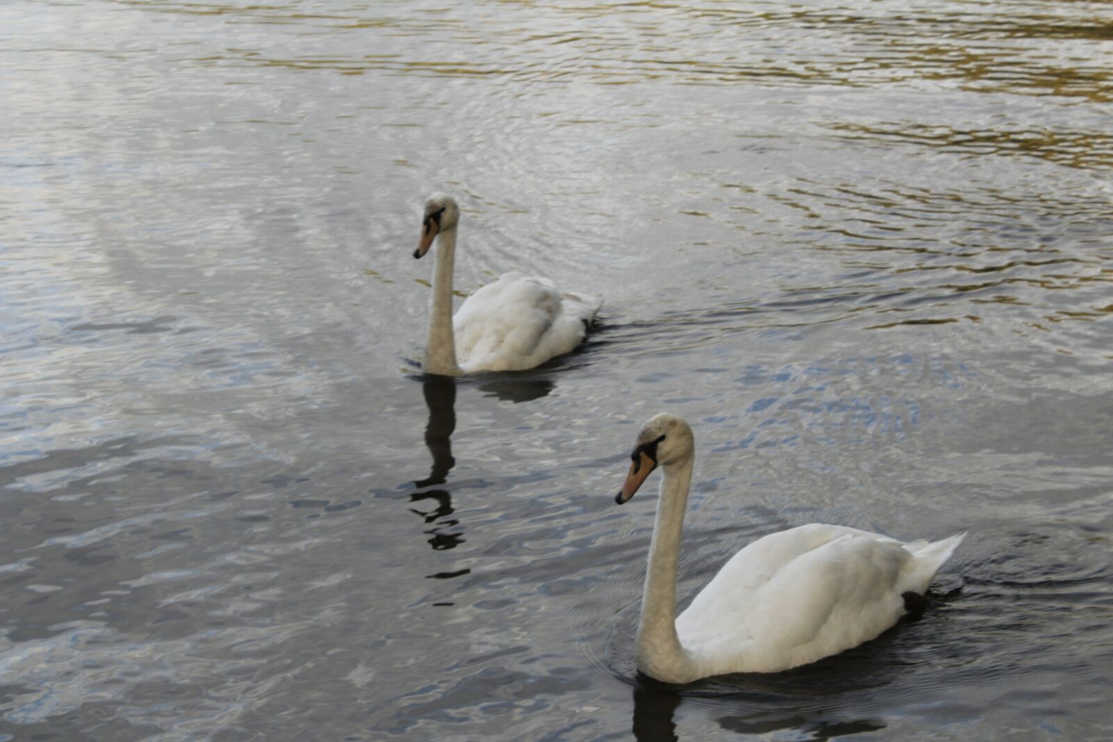 Canon EOS 1300D (EOS Rebel T6 / EOS Kiss X80) sample photo. Water, keswick, lake photography