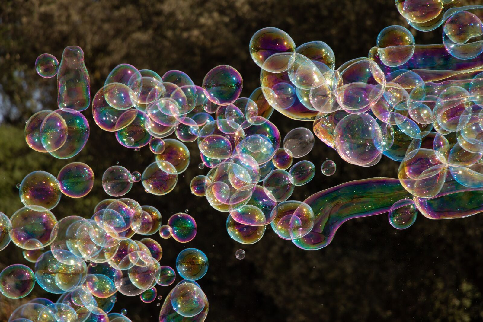 Canon EOS 100D (EOS Rebel SL1 / EOS Kiss X7) sample photo. Soap bubbles, fun, colors photography