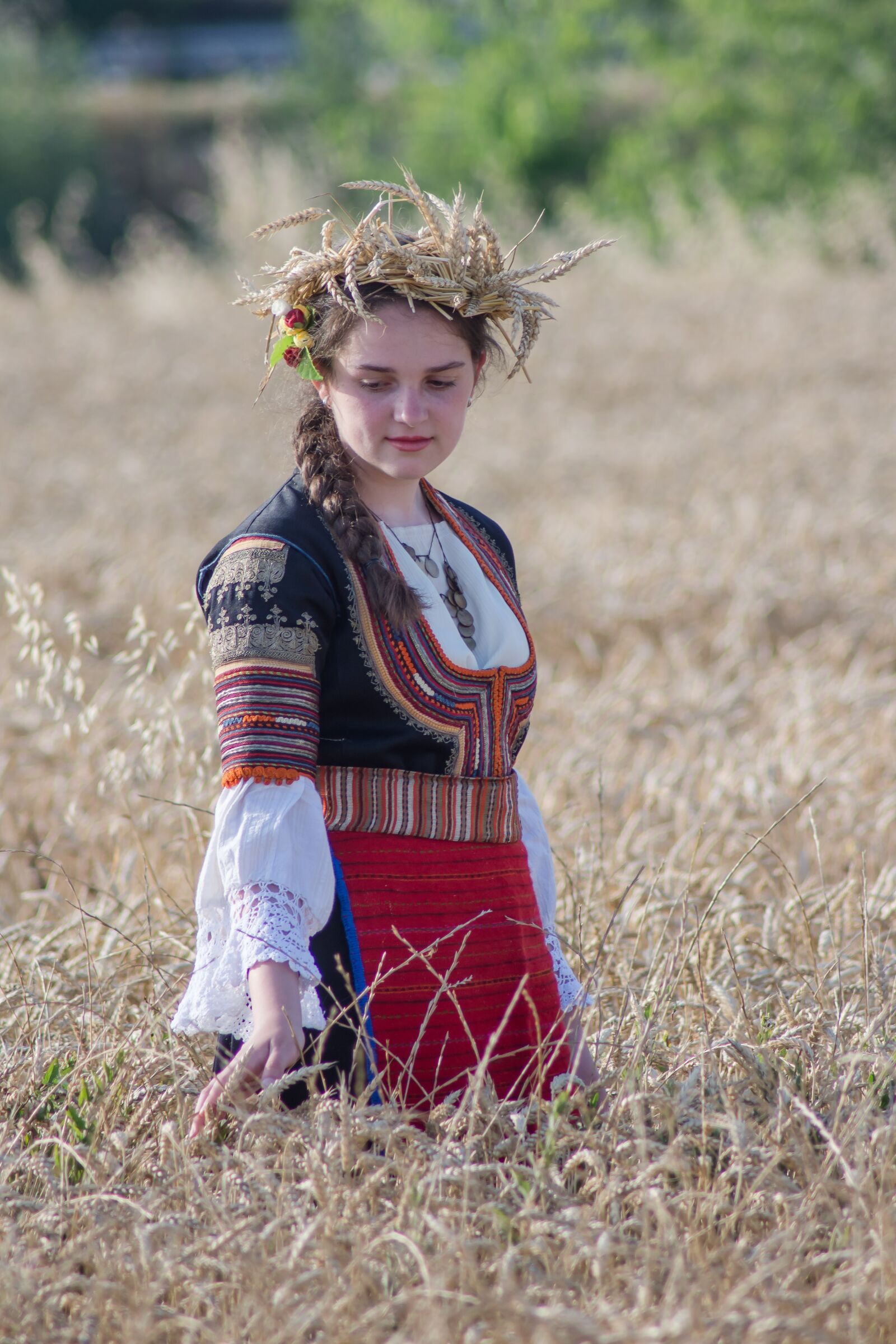 Nikon D7200 sample photo. Harvest, summer, nature photography