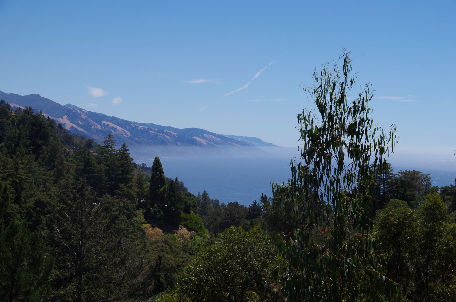 Pentax K-30 sample photo. Trees, mountains, fog photography