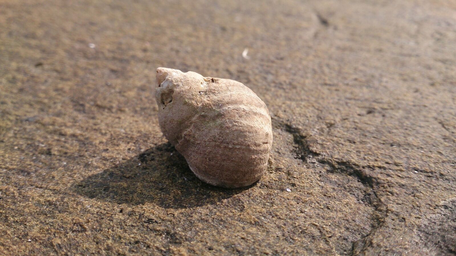 Sony Xperia ZR sample photo. Sand, beach, nature photography