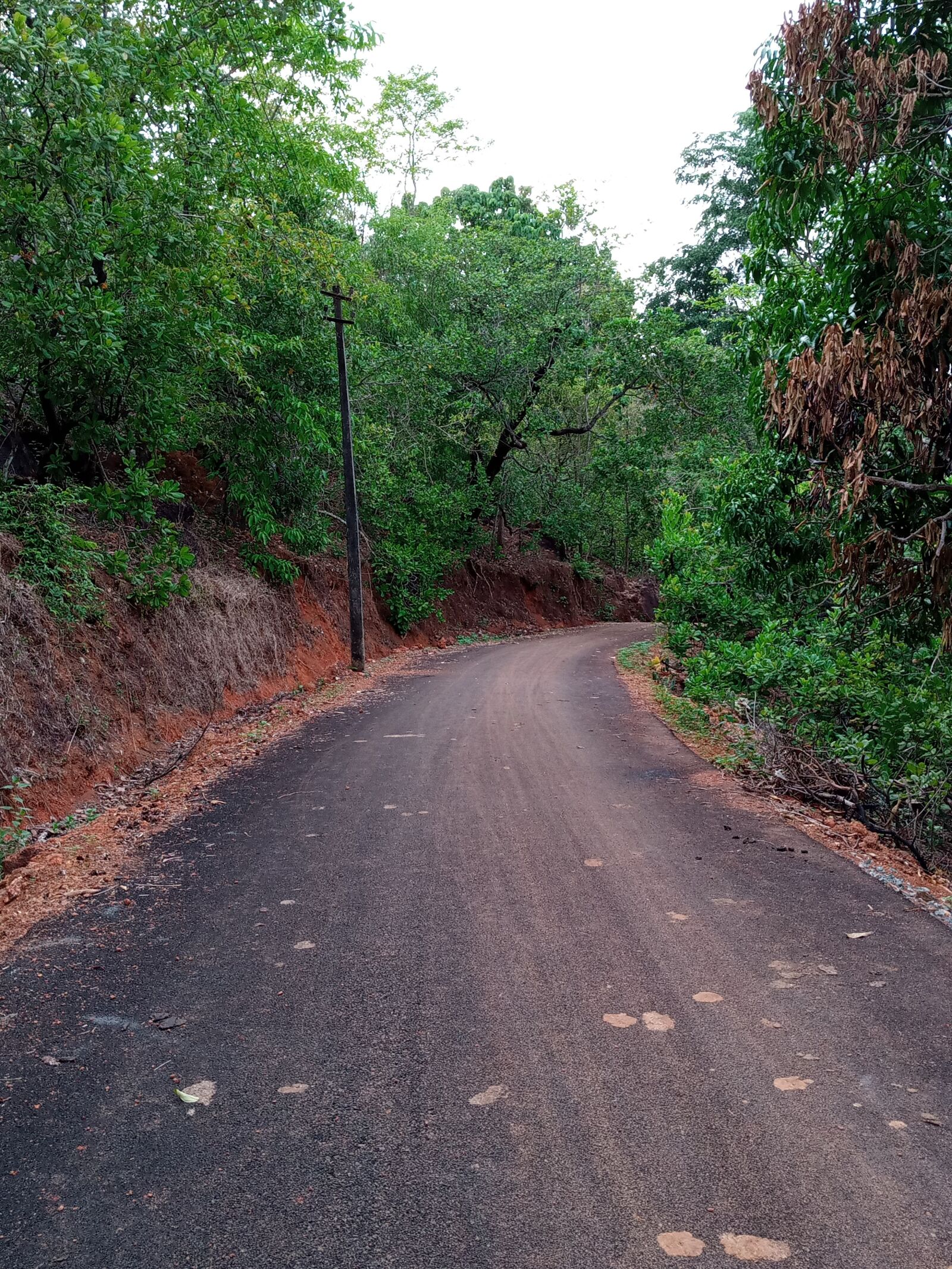 INFINIX MOBILITY LIMITED Infinix X650C sample photo. Jolly ride, forest vie photography