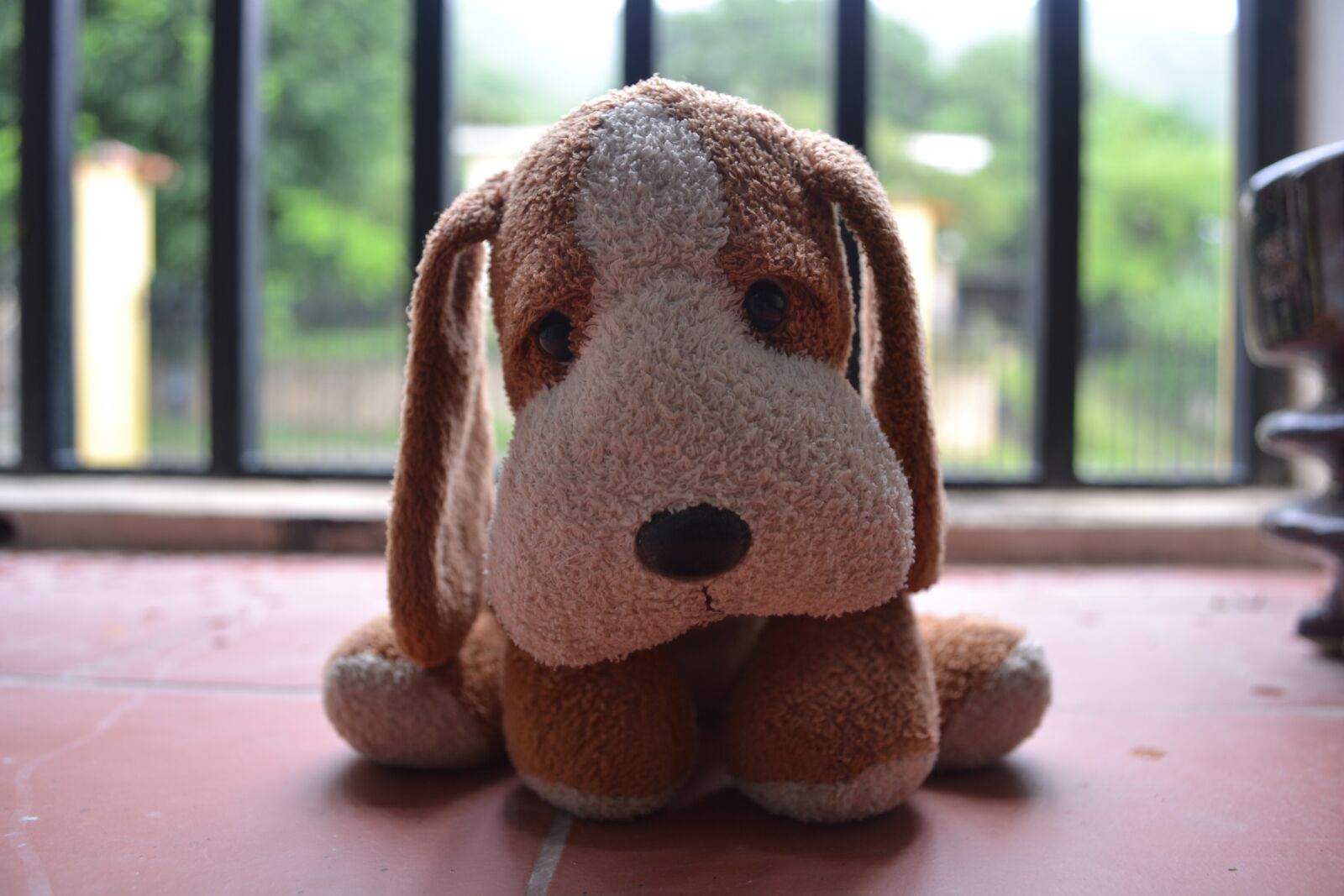 Nikon D3100 sample photo. Teddy, sad, grating photography