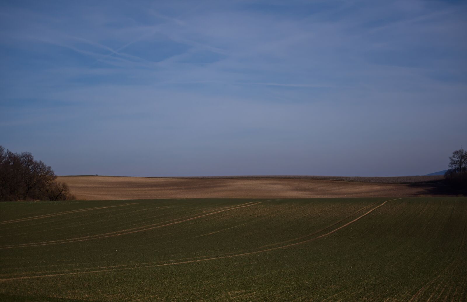 Nikon D5500 sample photo. Landscape, field, sky photography
