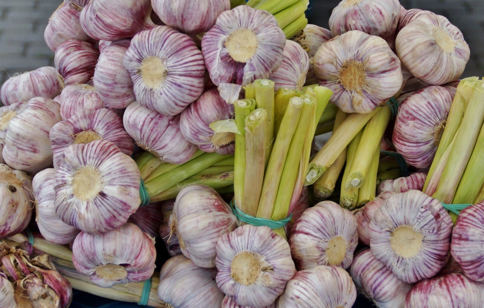 Sony SLT-A58 sample photo. Garlic, fresh, young photography