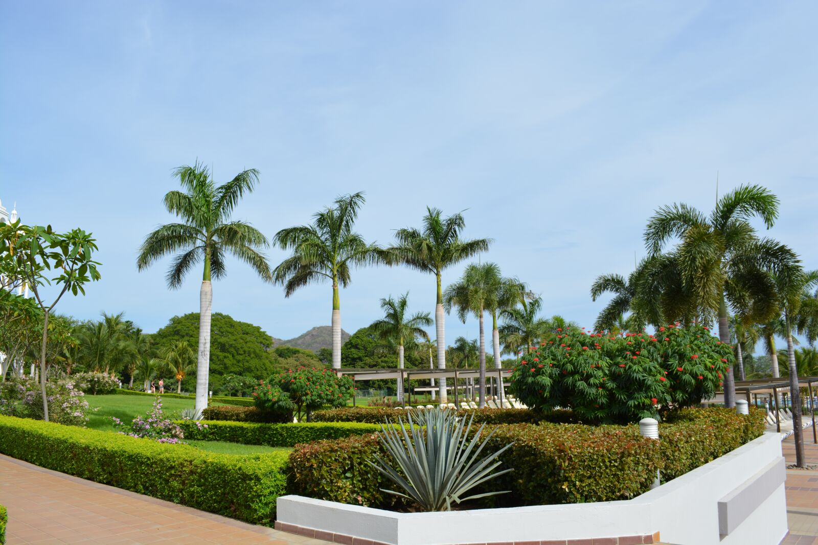 Nikon D5200 sample photo. Costa rica, resort, palm photography