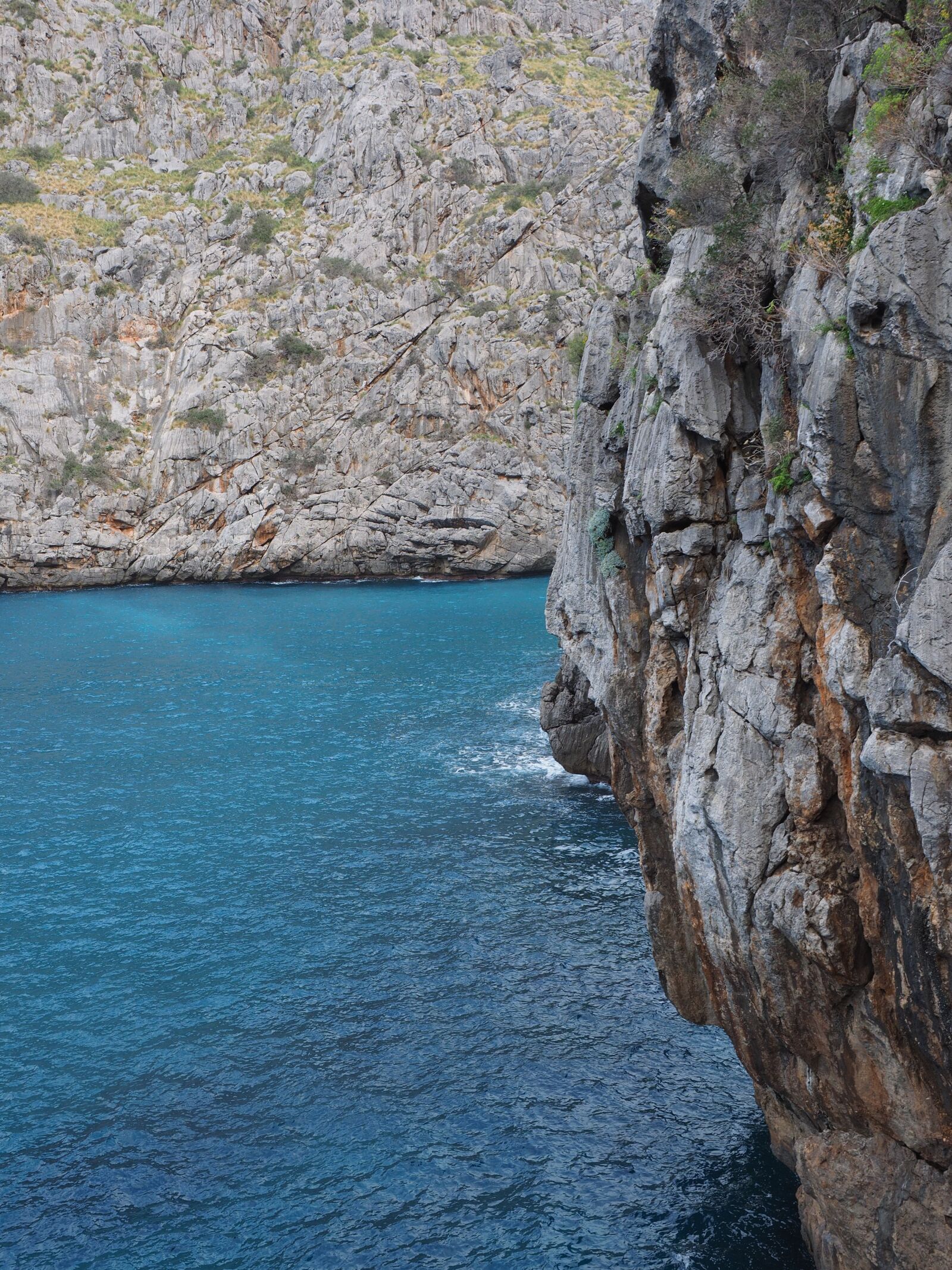 Olympus OM-D E-M1 + Olympus M.Zuiko Digital ED 12-40mm F2.8 Pro sample photo. Bay, sa calobra, bay photography
