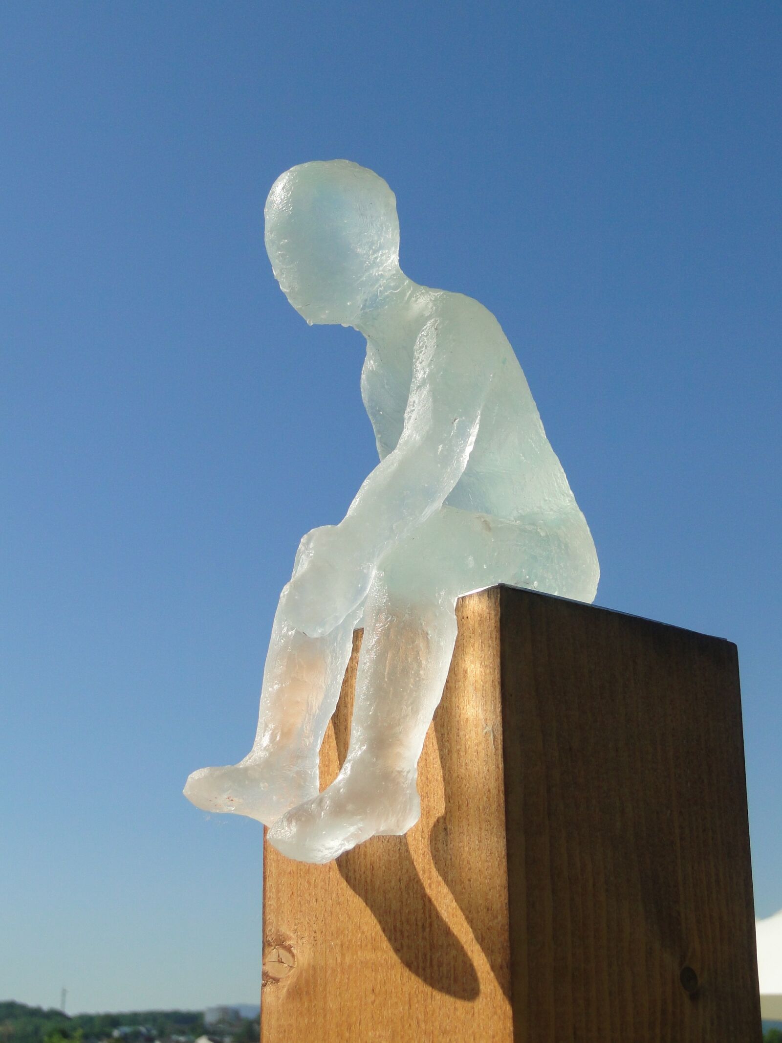 Sony Cyber-shot DSC-HX1 sample photo. Glass, sculpture, art photography