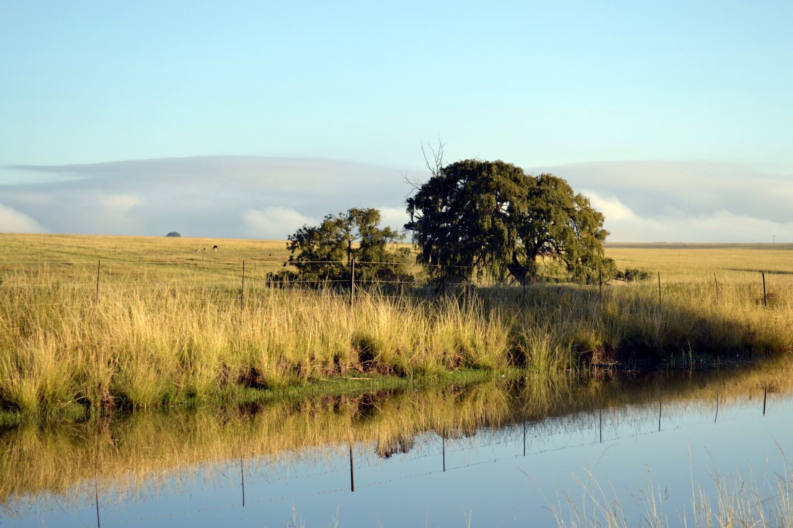 Nikon D3100 sample photo. River, landscape, environment photography