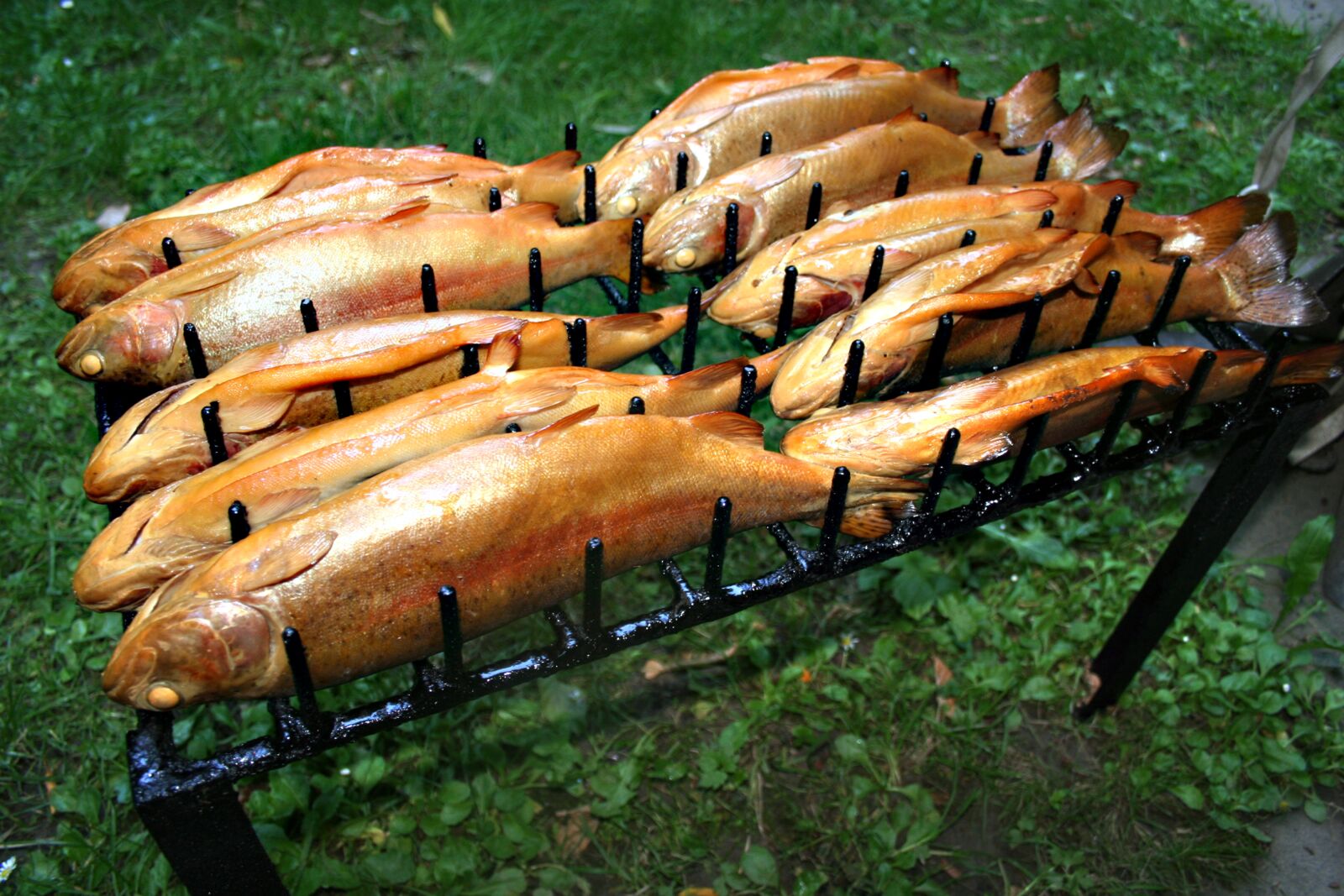 Canon EOS 350D (EOS Digital Rebel XT / EOS Kiss Digital N) sample photo. Fish, smoking, trout photography