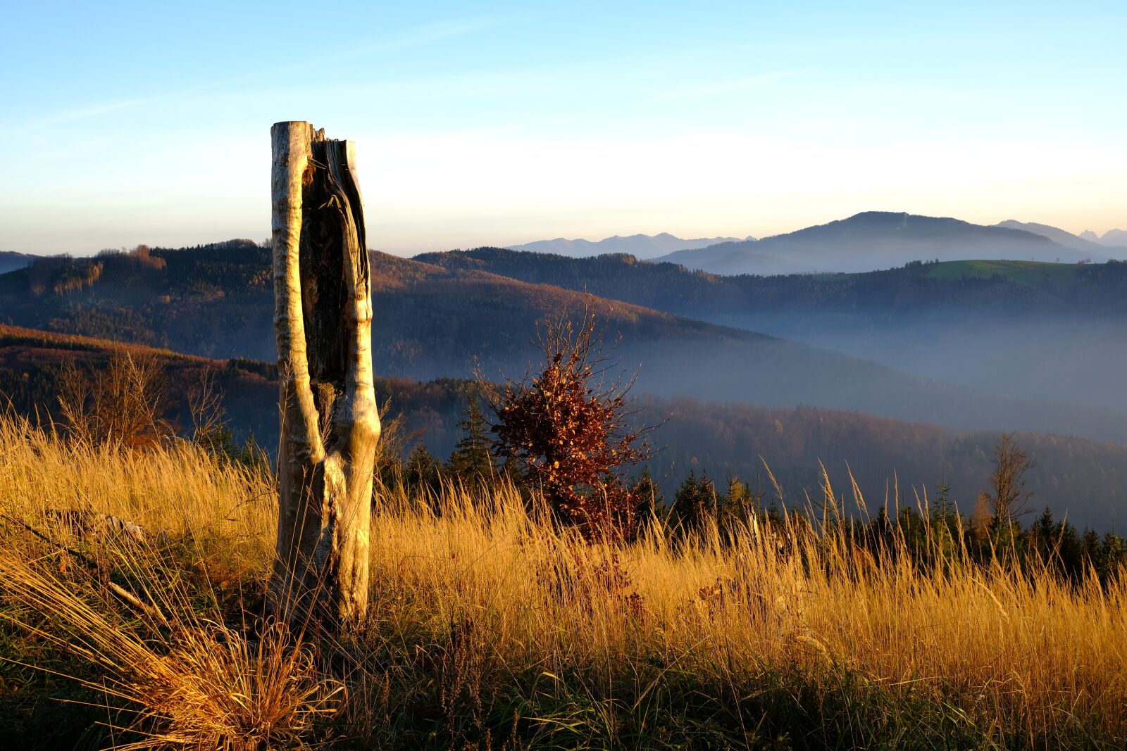 Fujifilm XC 15-45mm F3.5-5.6 OIS PZ sample photo. Nature, landscape, autumn photography