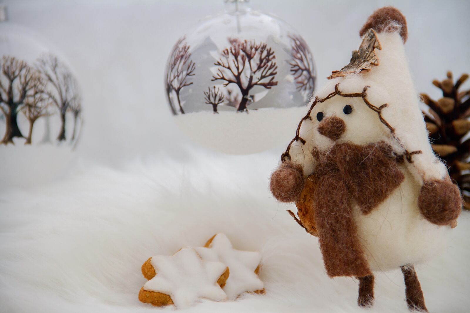 Canon EOS 7D sample photo. Christmas, advent, glass ball photography