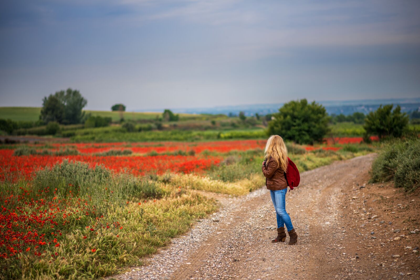 Nikon D750 sample photo. Path, girl, landscape photography