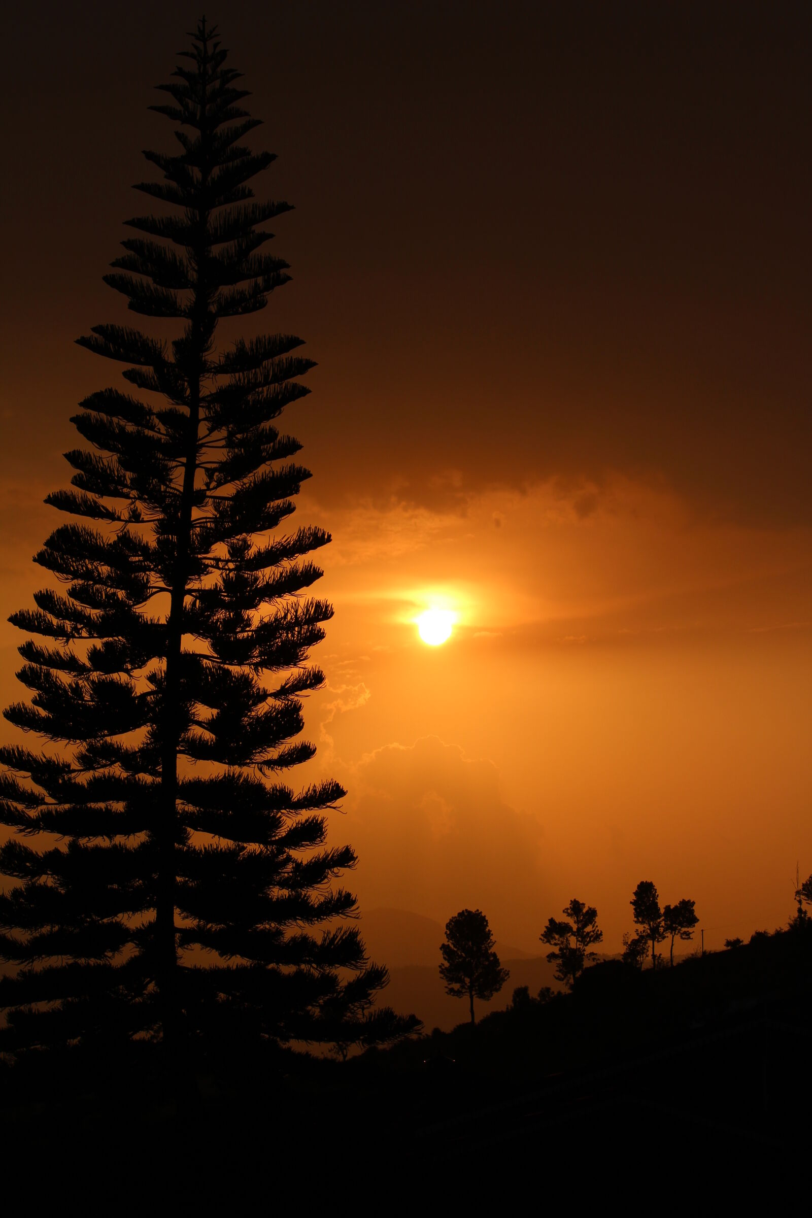Canon EOS 1300D (EOS Rebel T6 / EOS Kiss X80) sample photo. Sunset photography