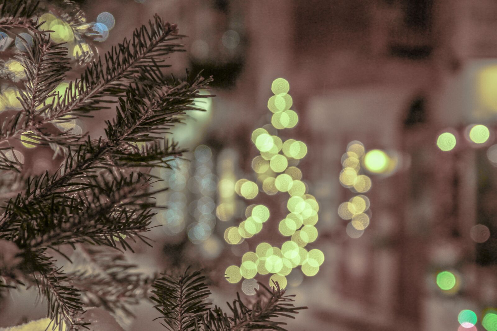 Canon EOS 600D (Rebel EOS T3i / EOS Kiss X5) sample photo. Bokeh, winter, christmas tree photography