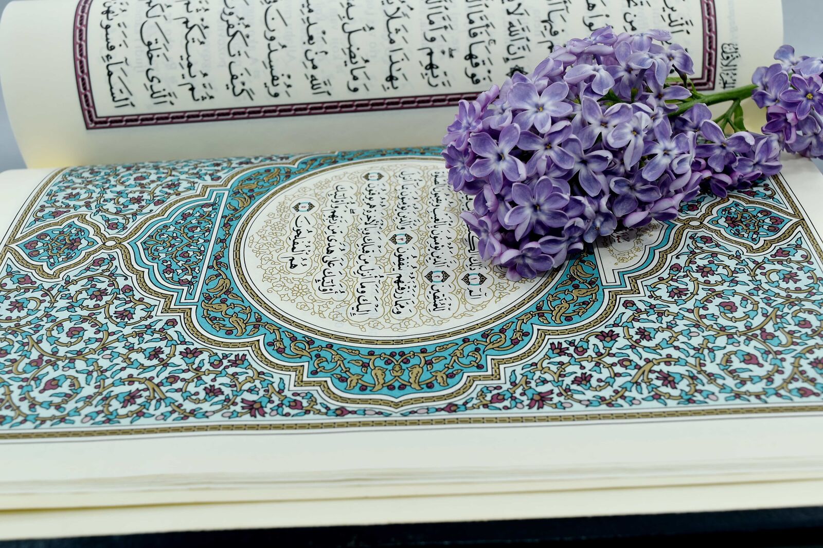 Nikon D5500 sample photo. Arabesque, arabic, flower, illustration photography