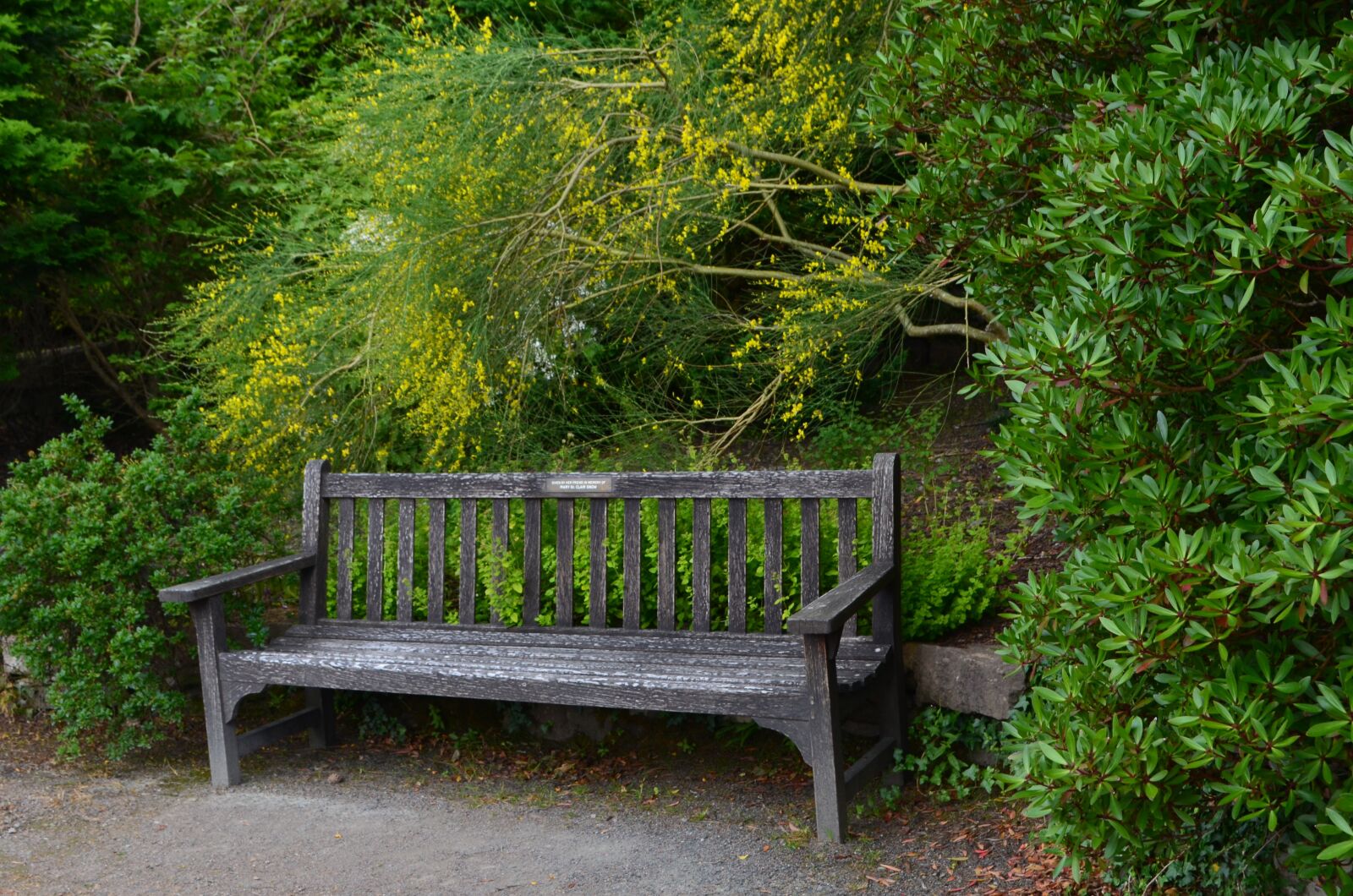 Nikon D5100 sample photo. Bank, garden, nature photography