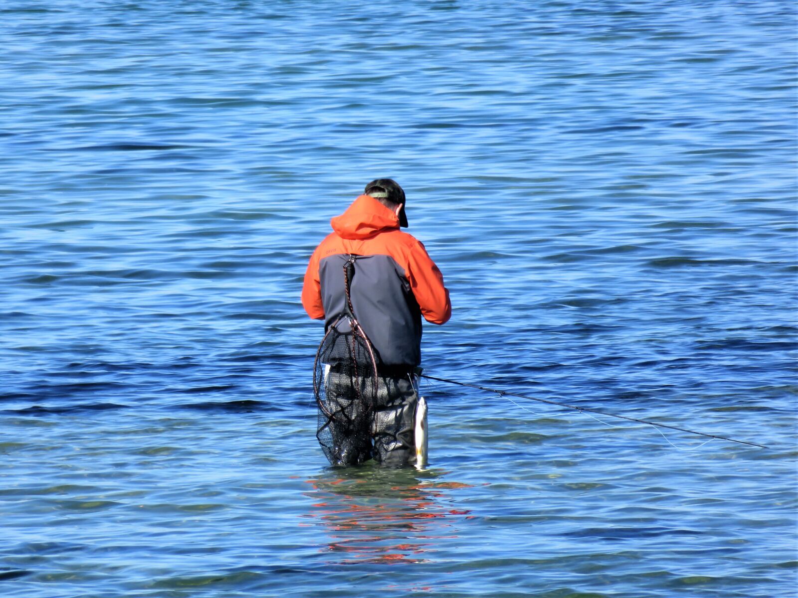 Canon PowerShot SX710 HS sample photo. Sea, sport fishing, fly photography