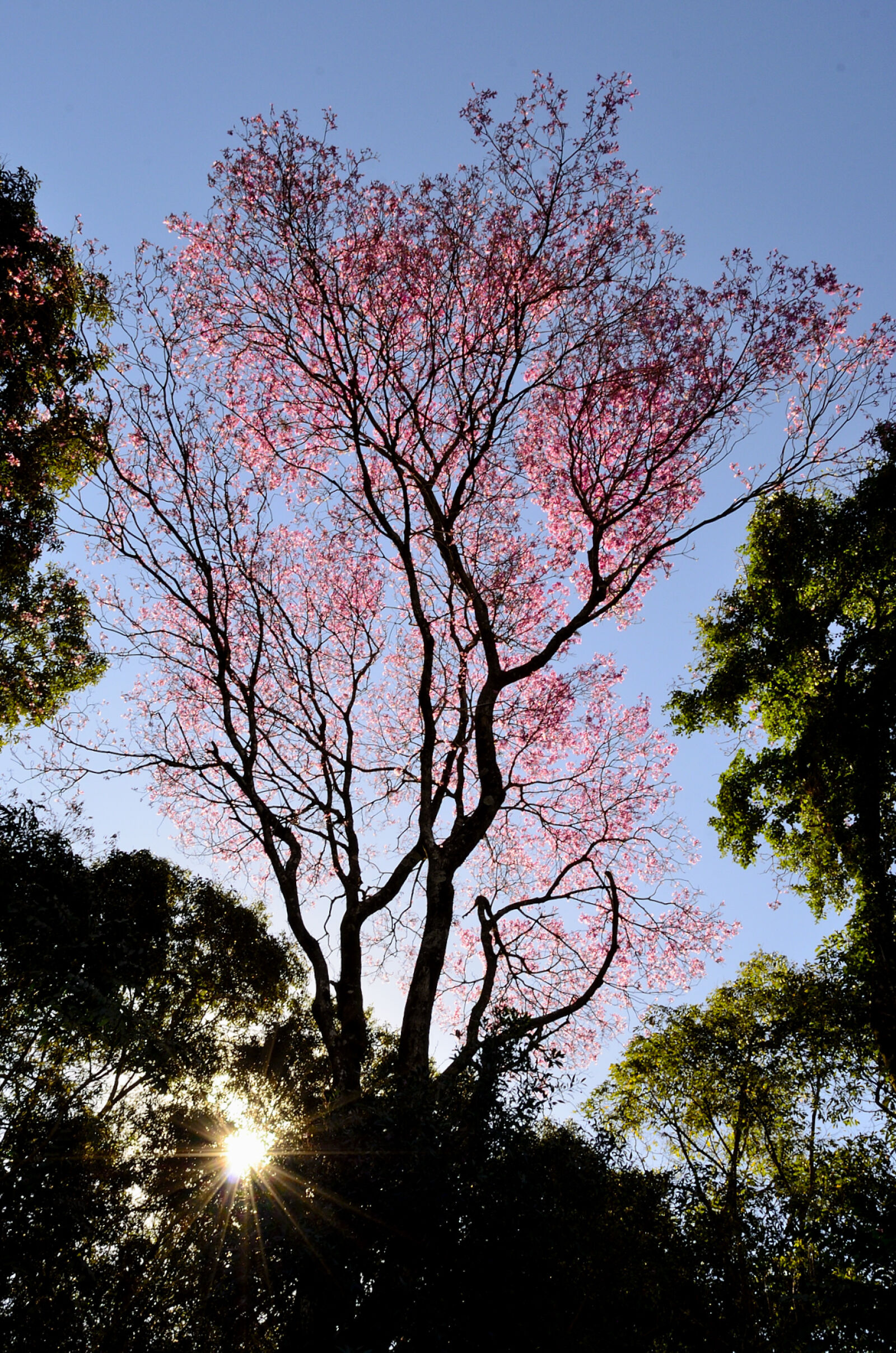 Nikon D5100 sample photo
