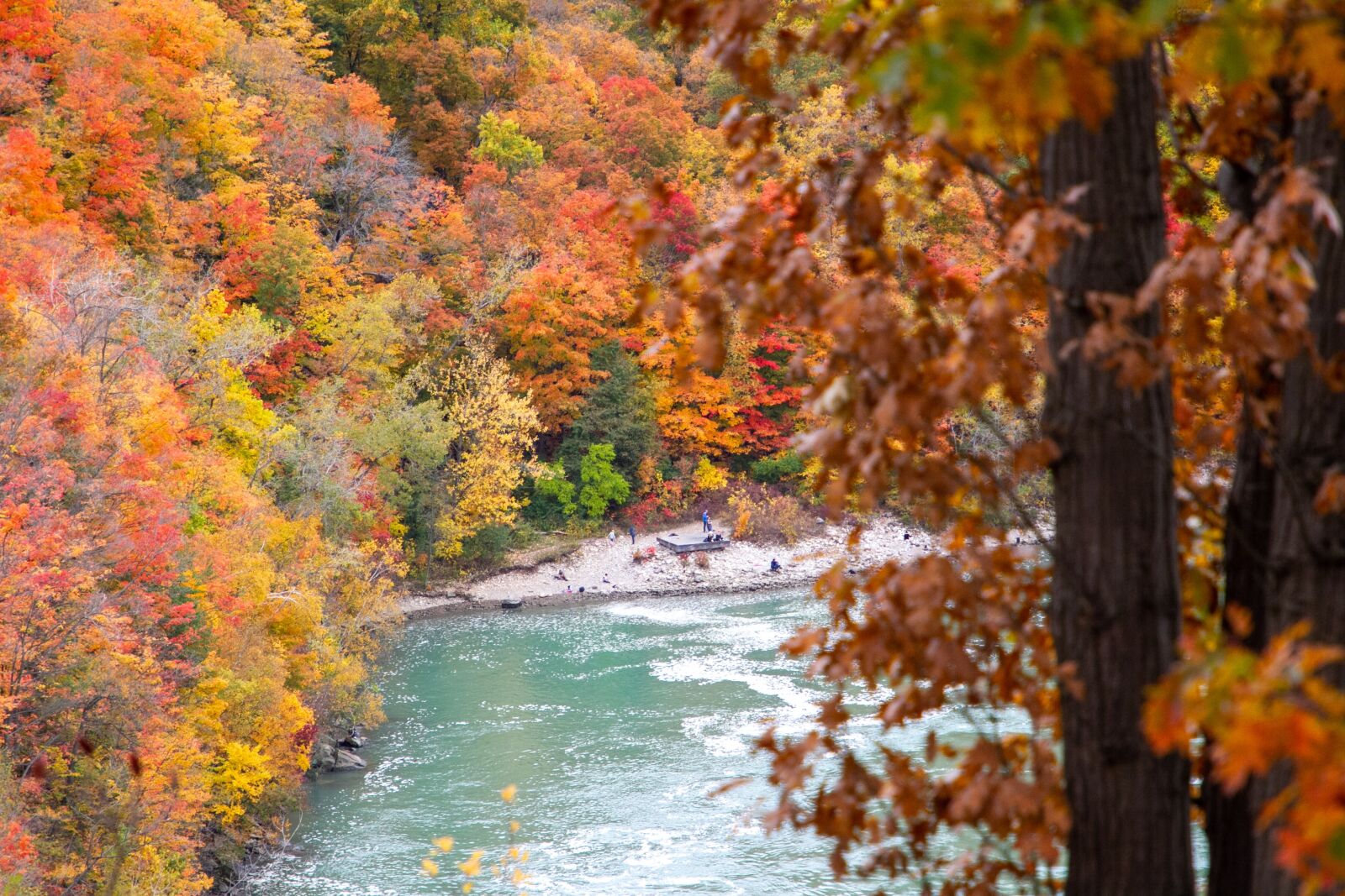 Canon EOS 7D sample photo. Autumn, fall, leaves photography