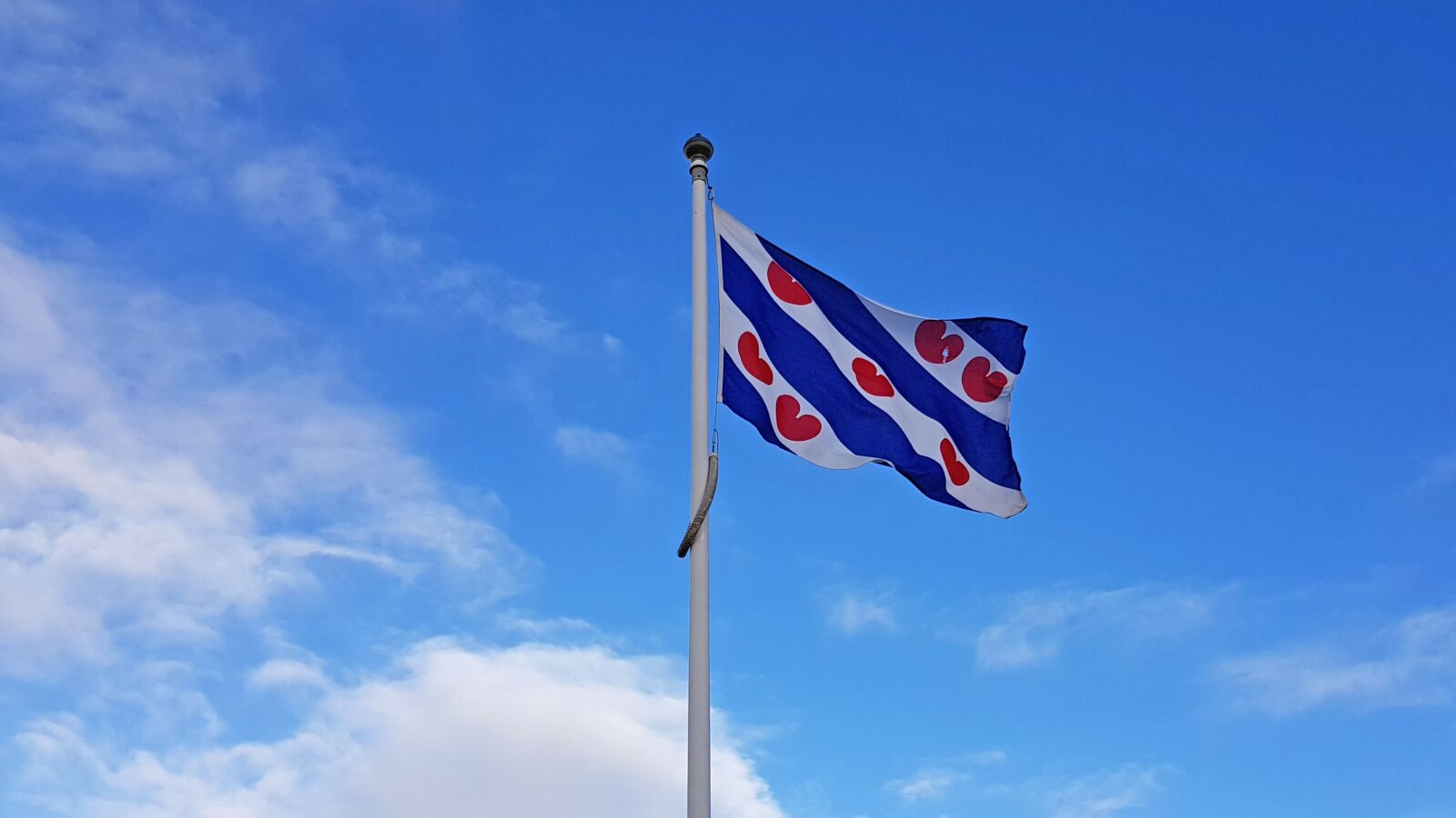 Samsung Galaxy S8 sample photo. Flag, friesland, water-lily leaves photography