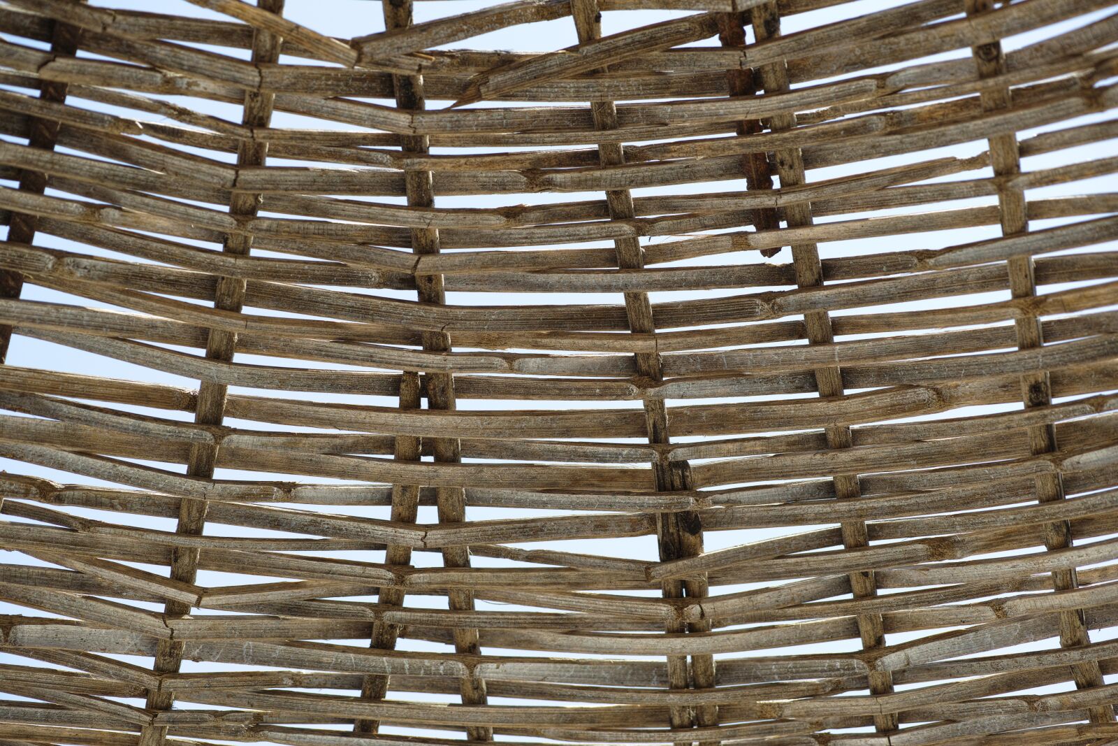 Sigma DP3 Merrill sample photo. Wire mesh, brown, abstract photography