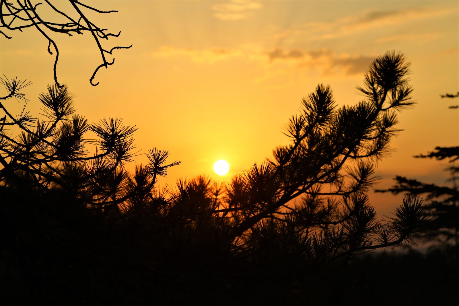 Canon EF 24-105mm F4L IS USM sample photo. Sunset, in the evening photography