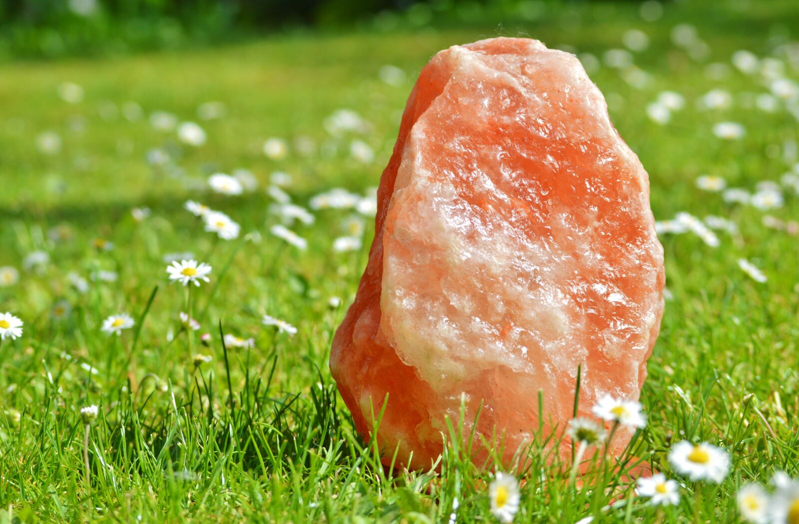 Nikon D3200 sample photo. Rock salt, halitit, salt photography