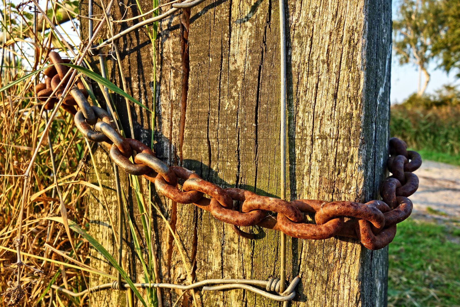 Sony Cyber-shot DSC-RX100 sample photo. Chain, links, steel photography