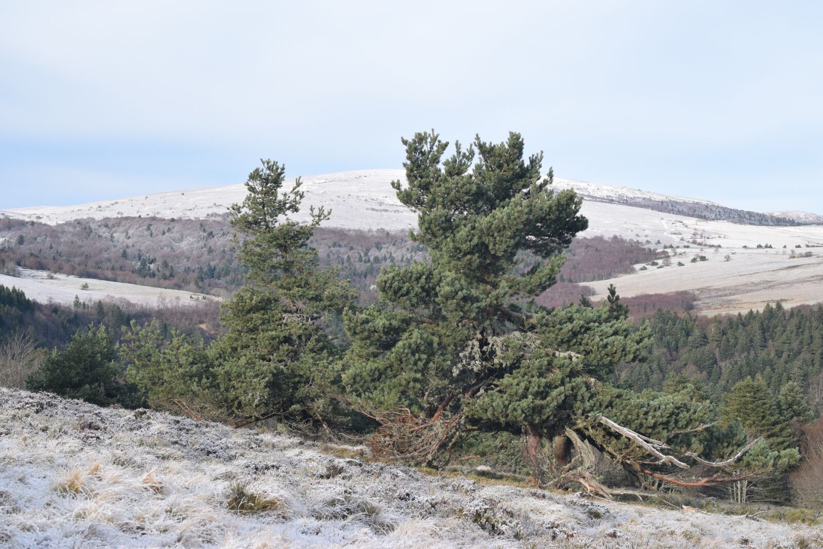 Nikon D5300 sample photo. Gel, cold, winter photography