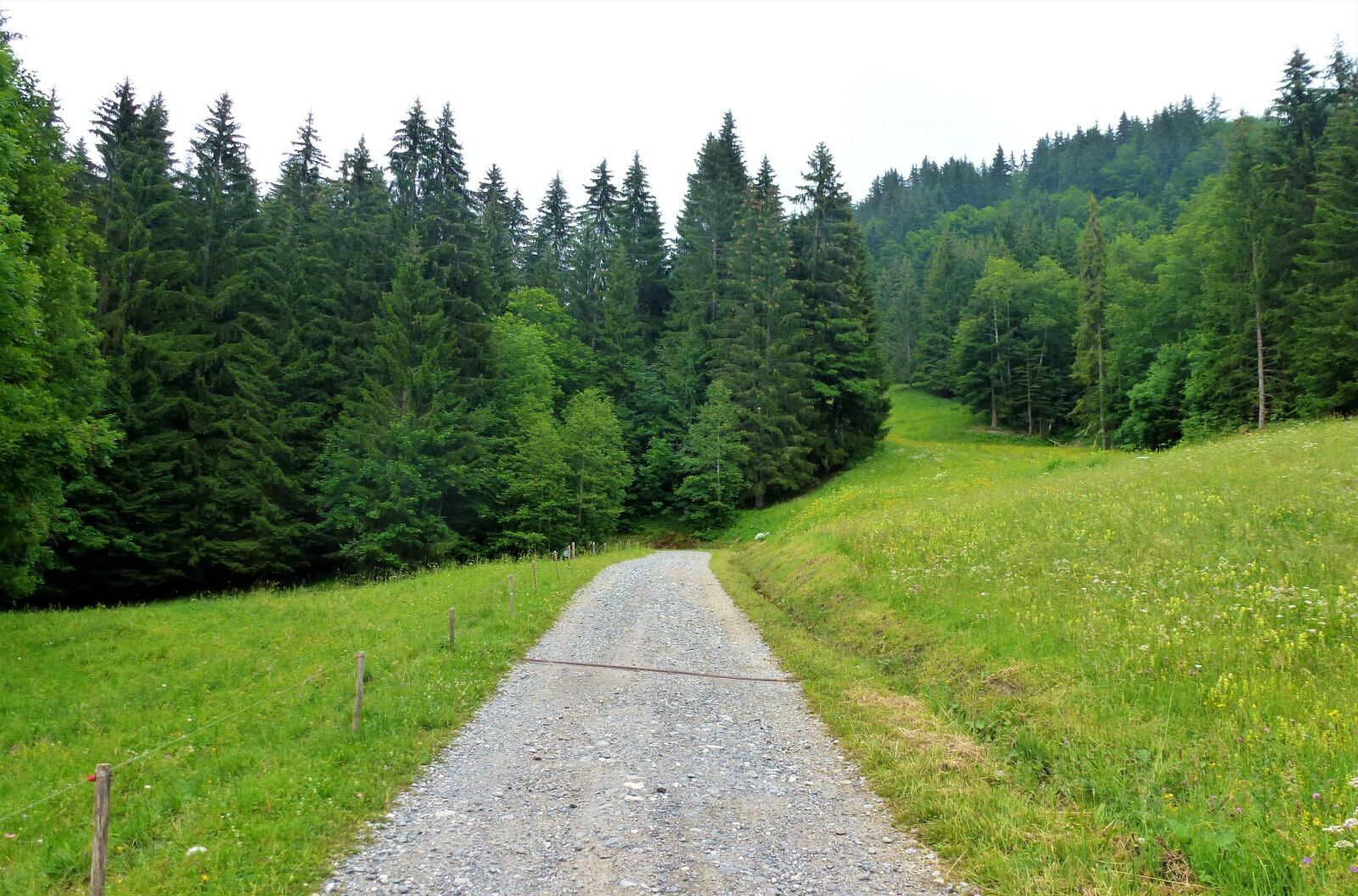 Panasonic Lumix DMC-ZS10 (Lumix DMC-TZ20 / Lumix DMC-TZ22) sample photo. Nature, france, alps photography