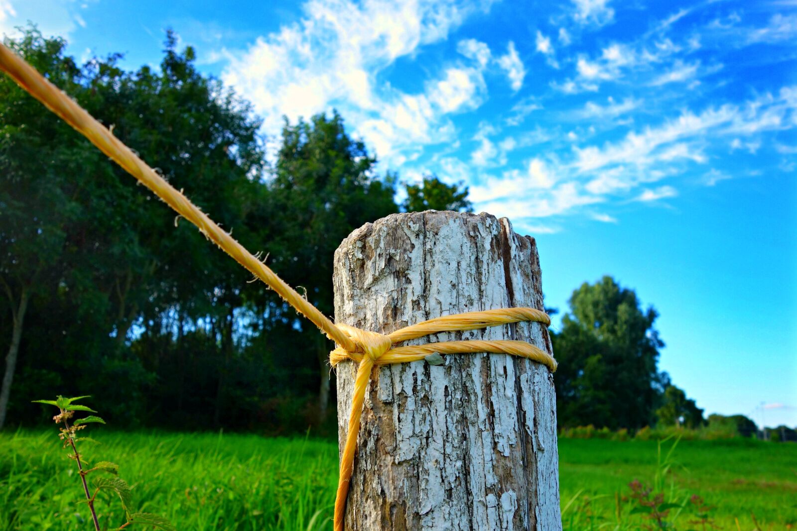 Sony Cyber-shot DSC-RX100 sample photo. Landscape, nature, field photography