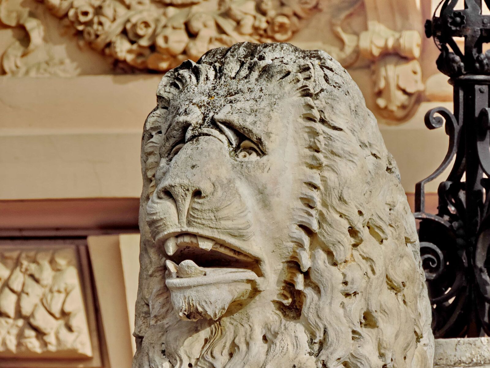 Nikon Coolpix P520 sample photo. Carving, head, lion, marble photography