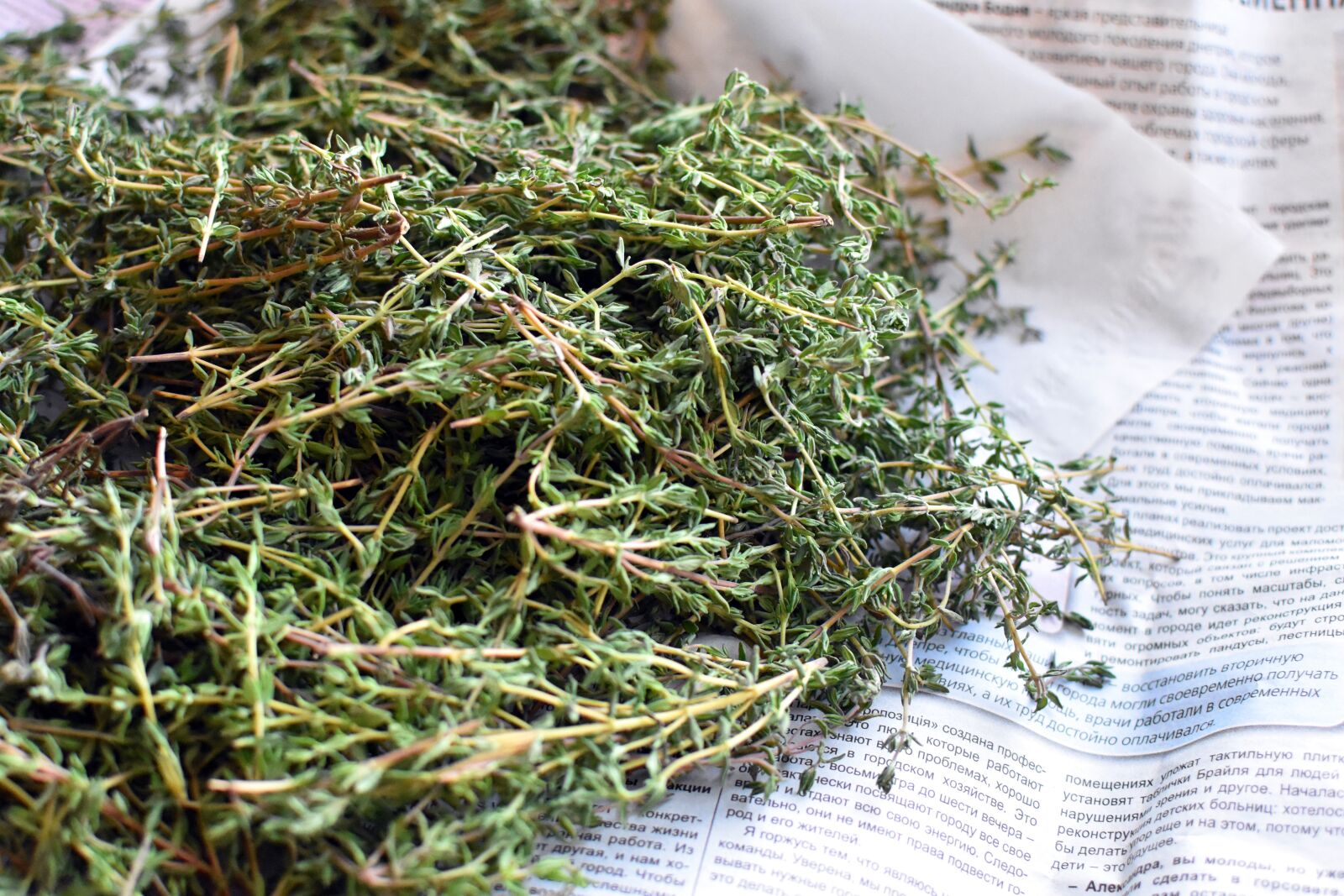 Nikon D3400 sample photo. Thyme, grass, spice photography