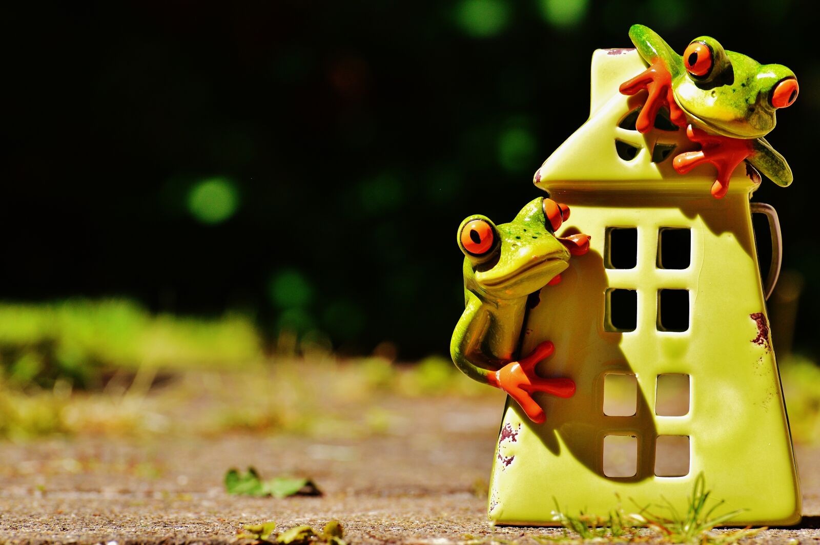 Nikon D3200 sample photo. Frogs, house, funny photography