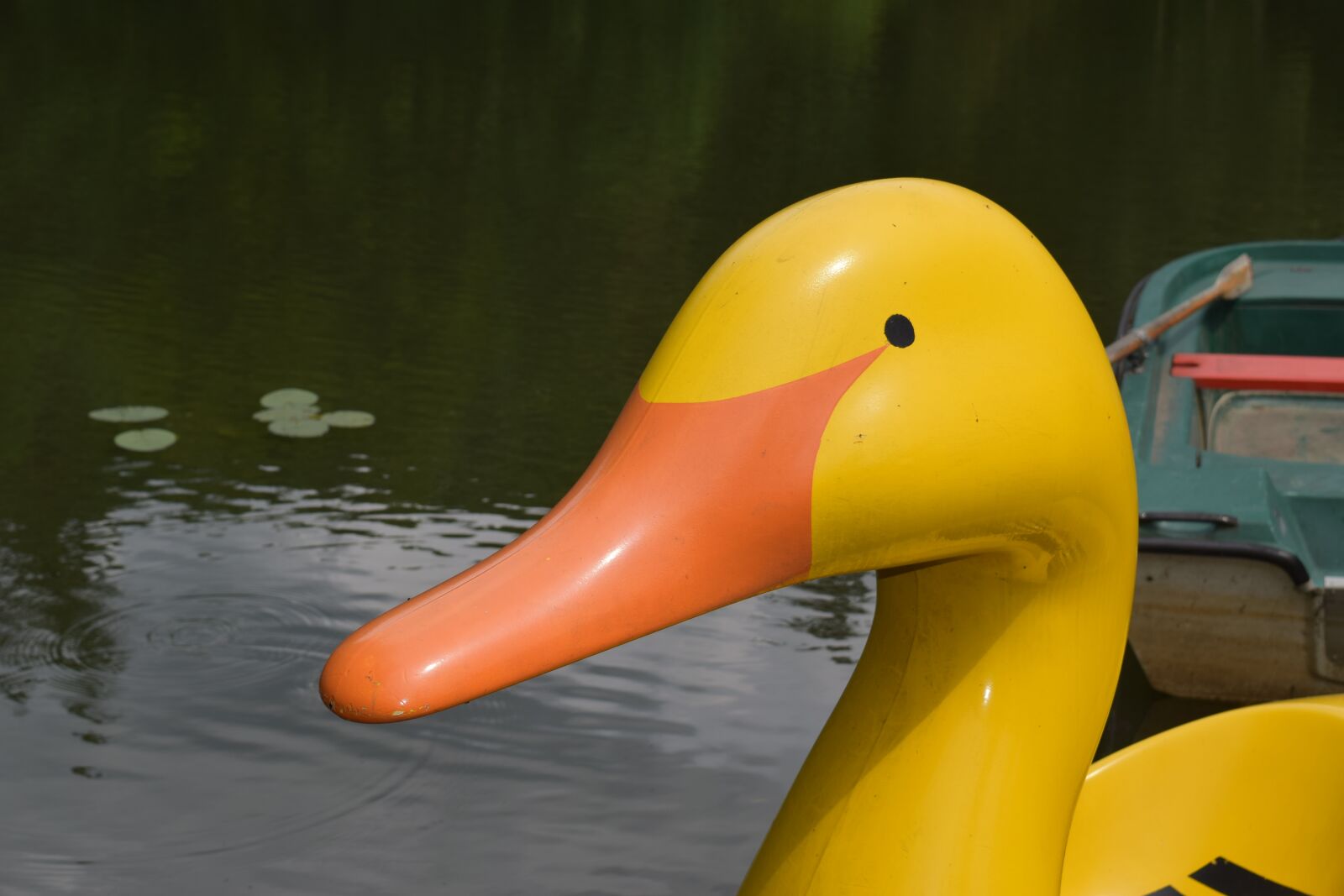 Nikon D5300 sample photo. Duck, pond, pedal boat photography