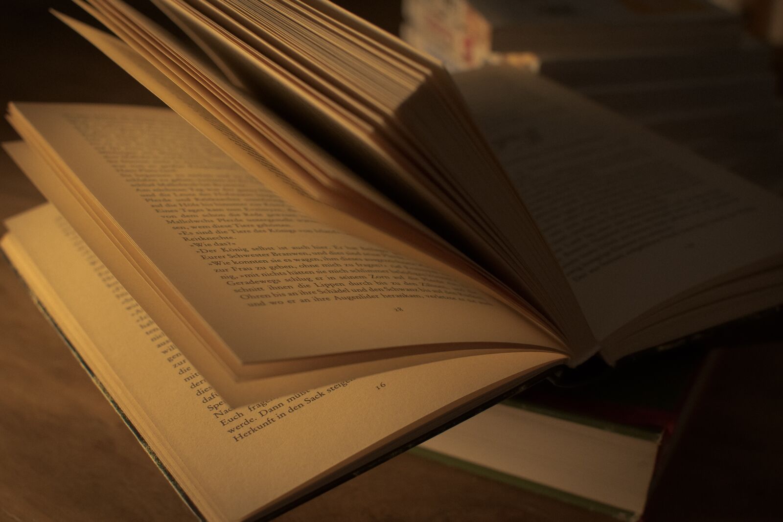 Nikon D3300 sample photo. Literature, wisdom, library photography