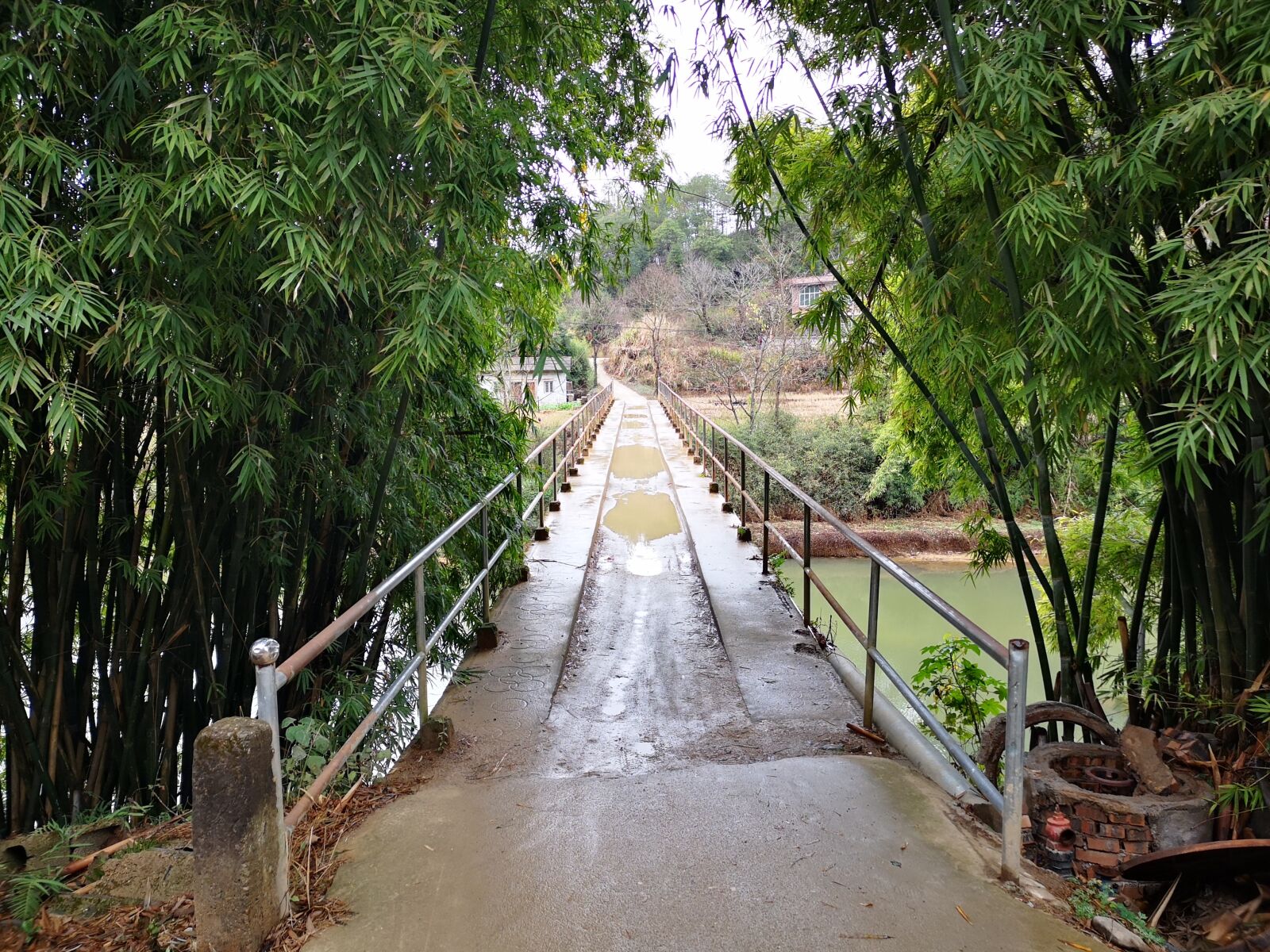 HUAWEI P20 Pro sample photo. Bridge, bamboo, river photography