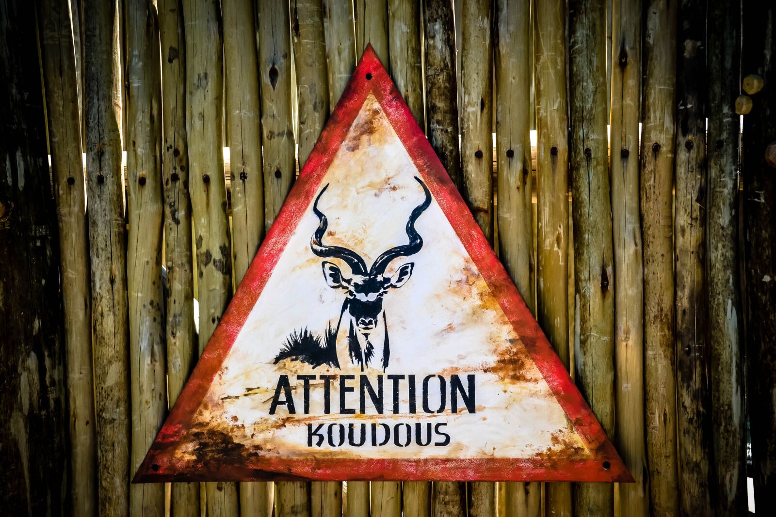 Nikon D3100 sample photo. Signs, brand, ban photography