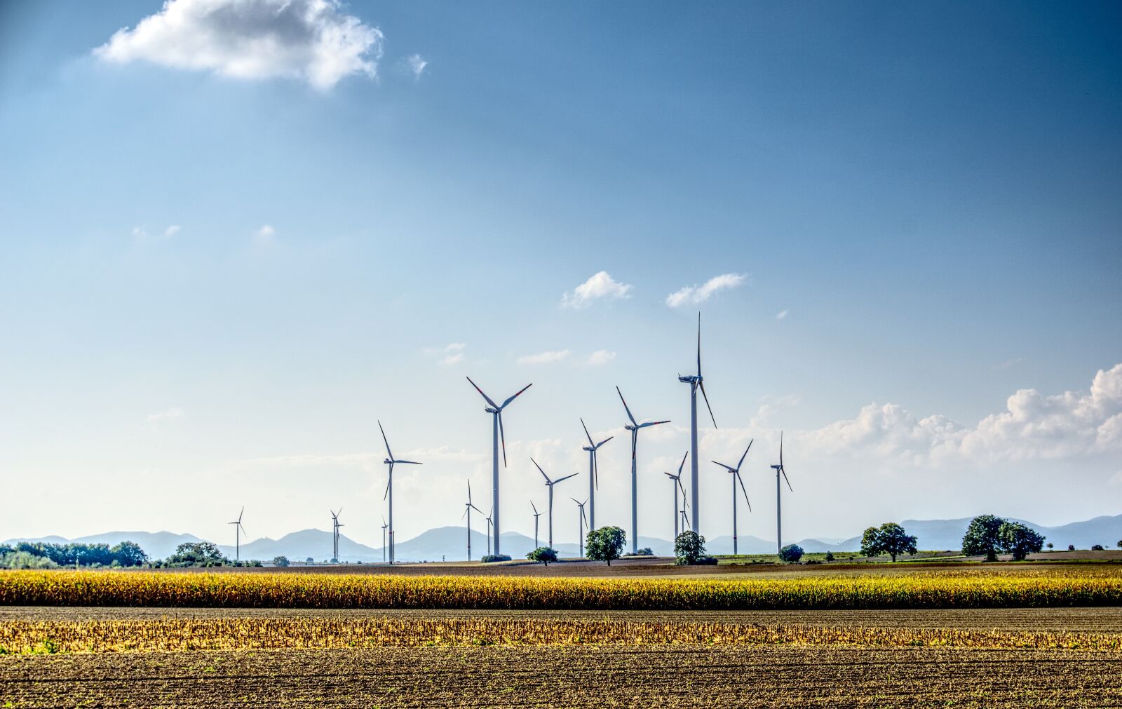 Sony a6000 sample photo. Windr der, wind power photography
