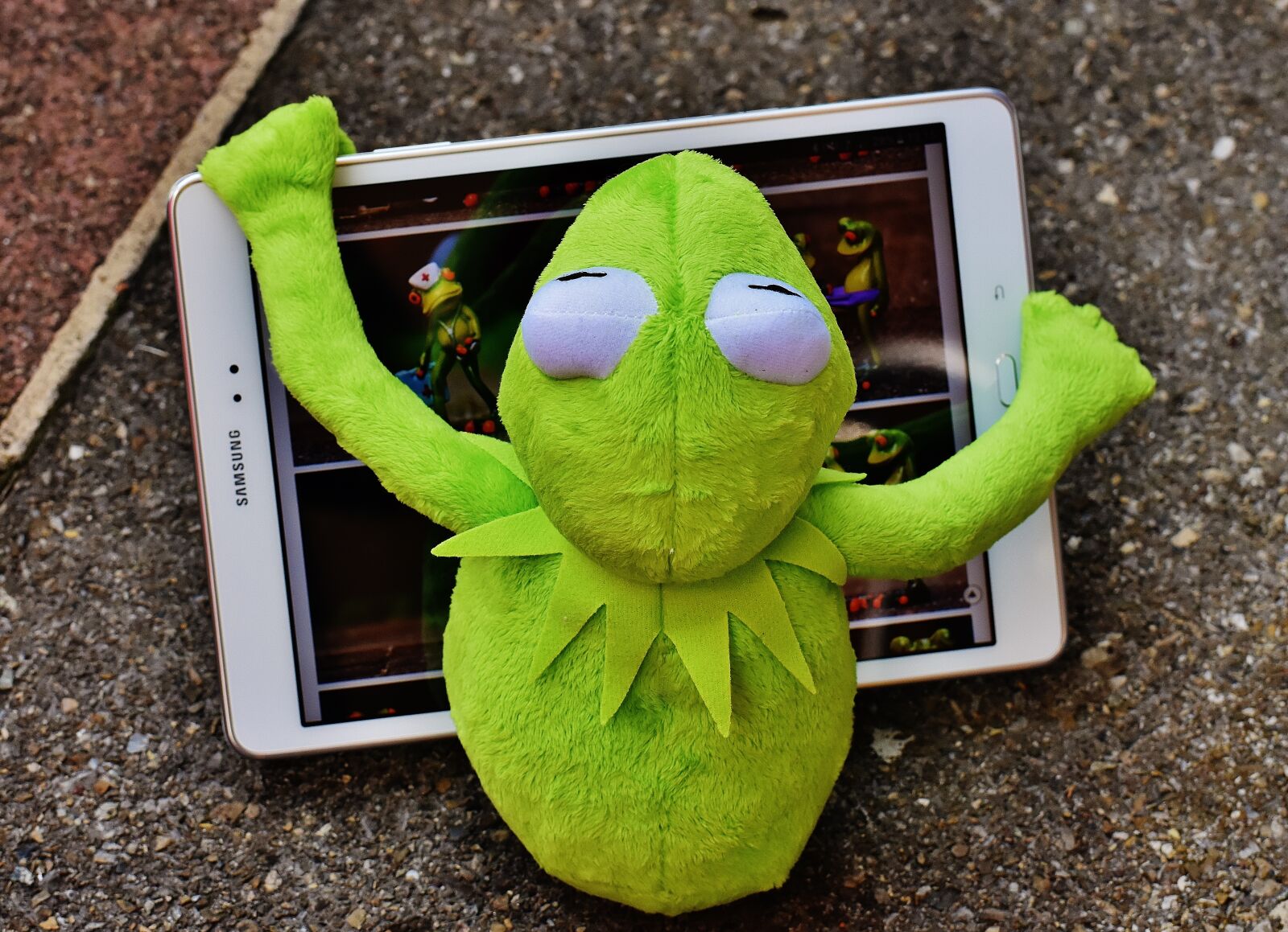 Nikon D7200 sample photo. Kermit, frog, tablet photography