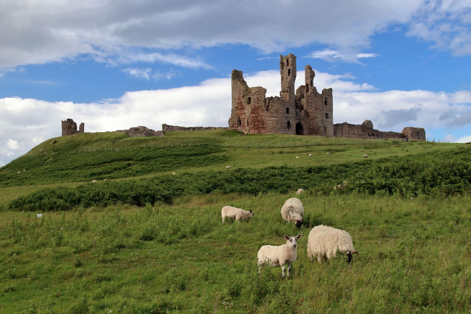 Canon EOS 80D sample photo. Dunstanburgh castle, castle, ruins photography