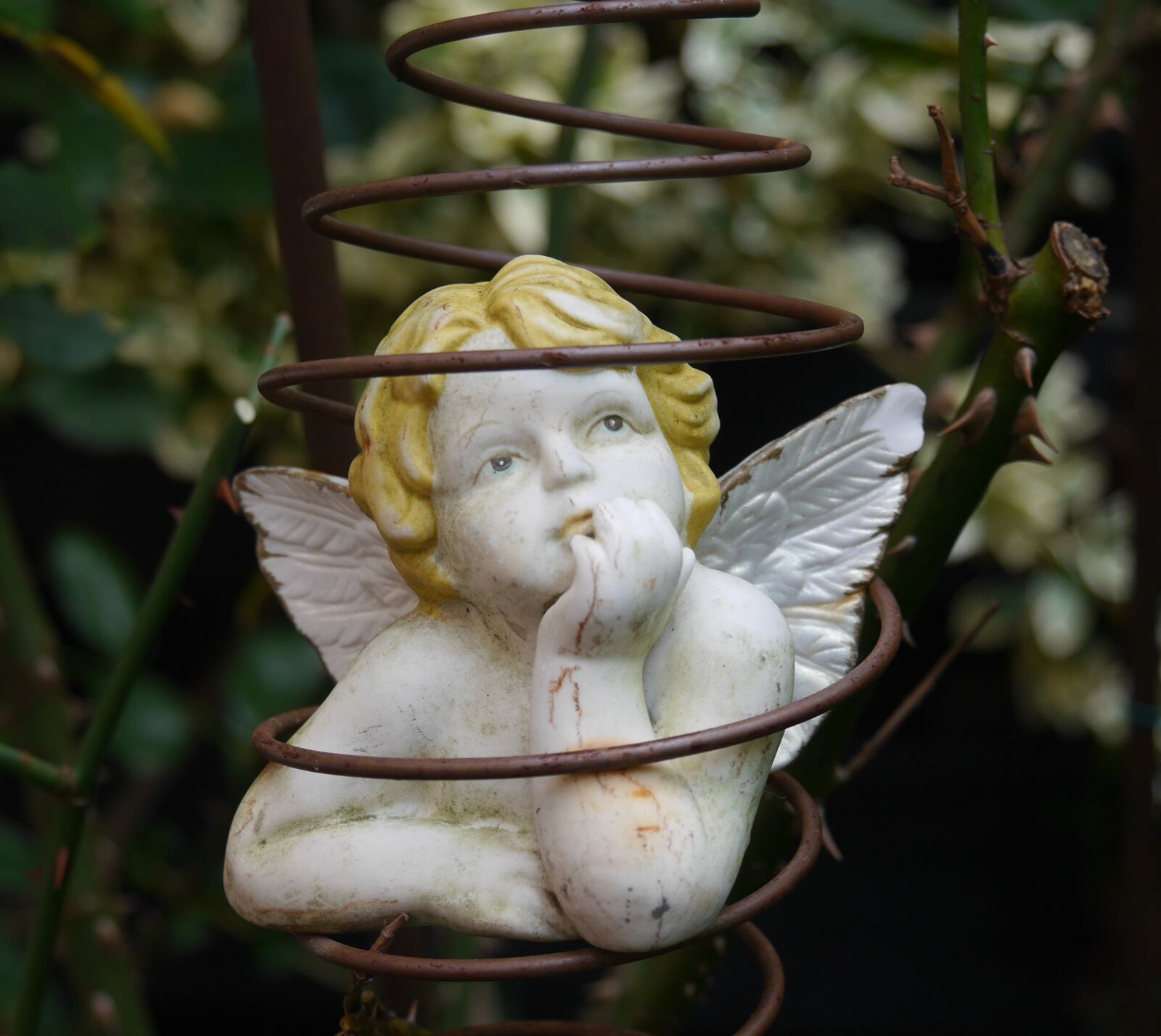 Panasonic Lumix DMC-G6 sample photo. Cherub, garden decoration, angel photography